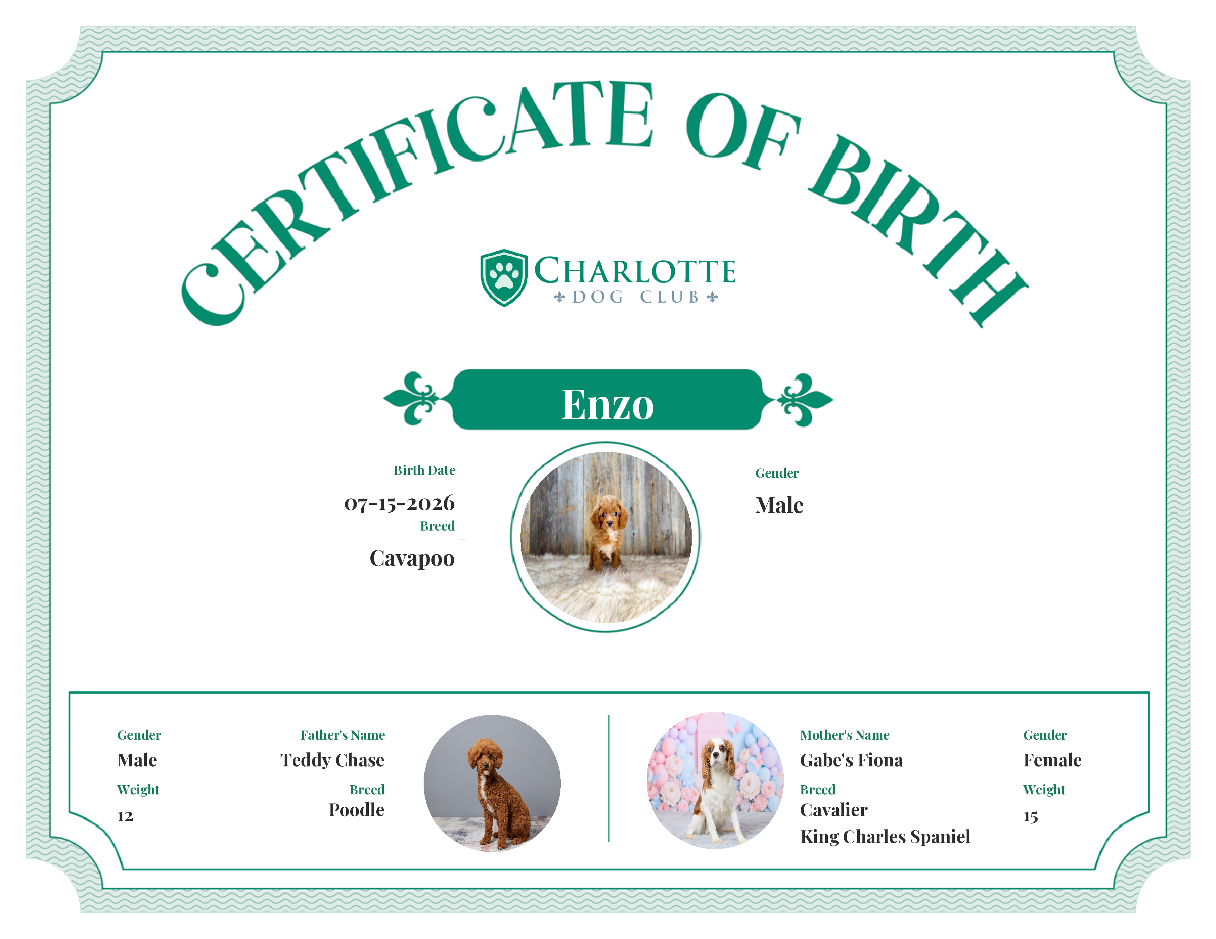 Enzo's Birth Certificate