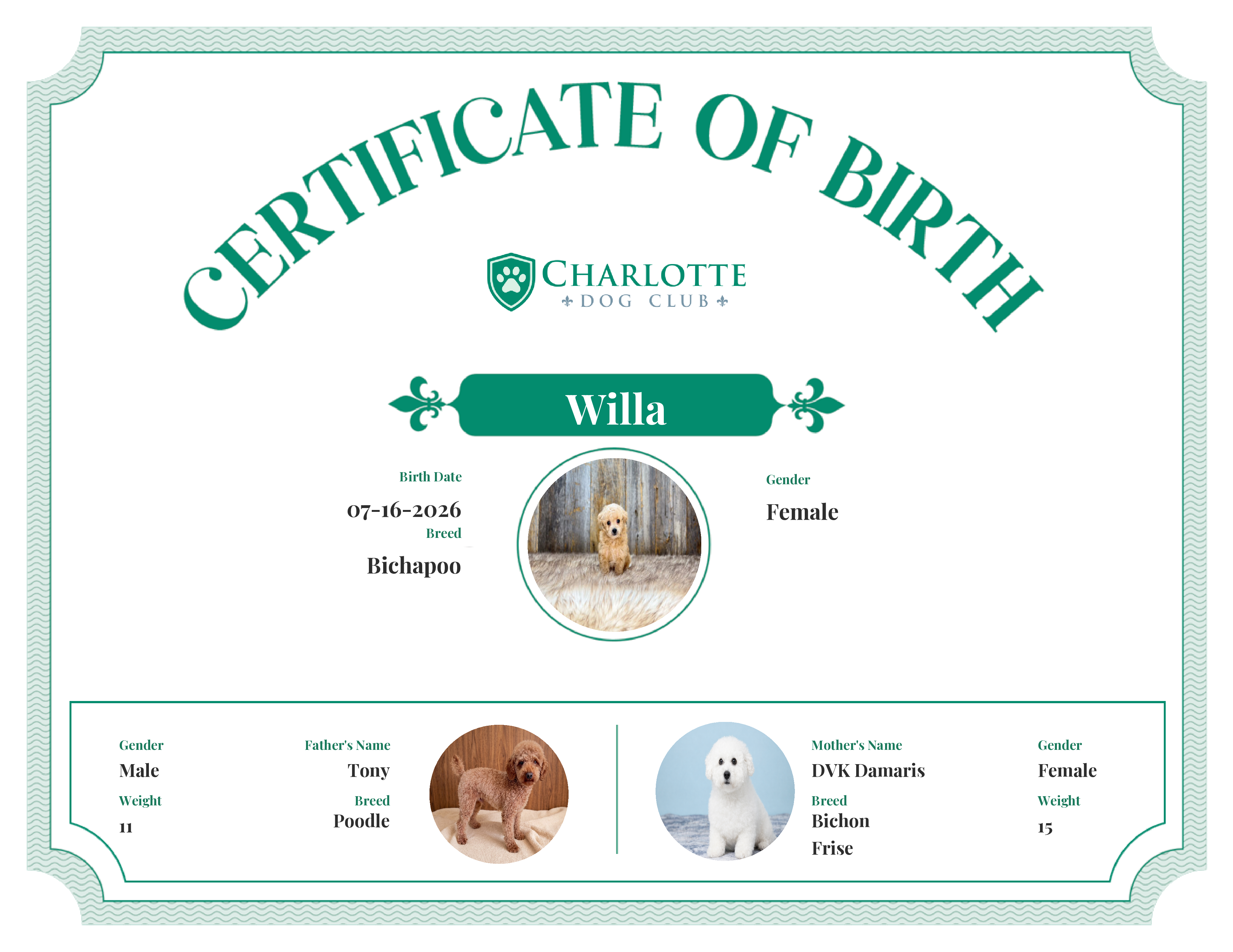 Willa's Birth Certificate