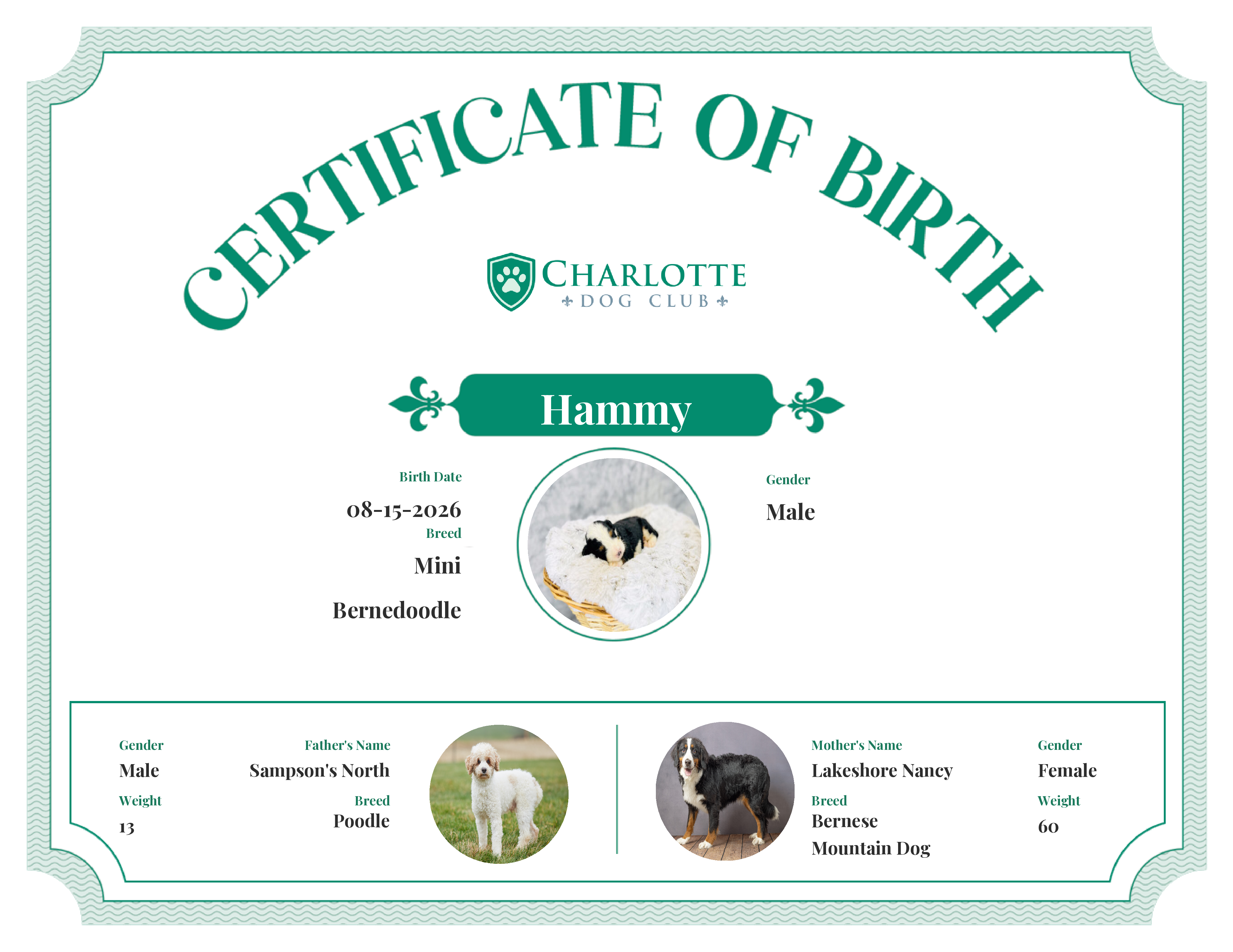 Hammy's Birth Certificate