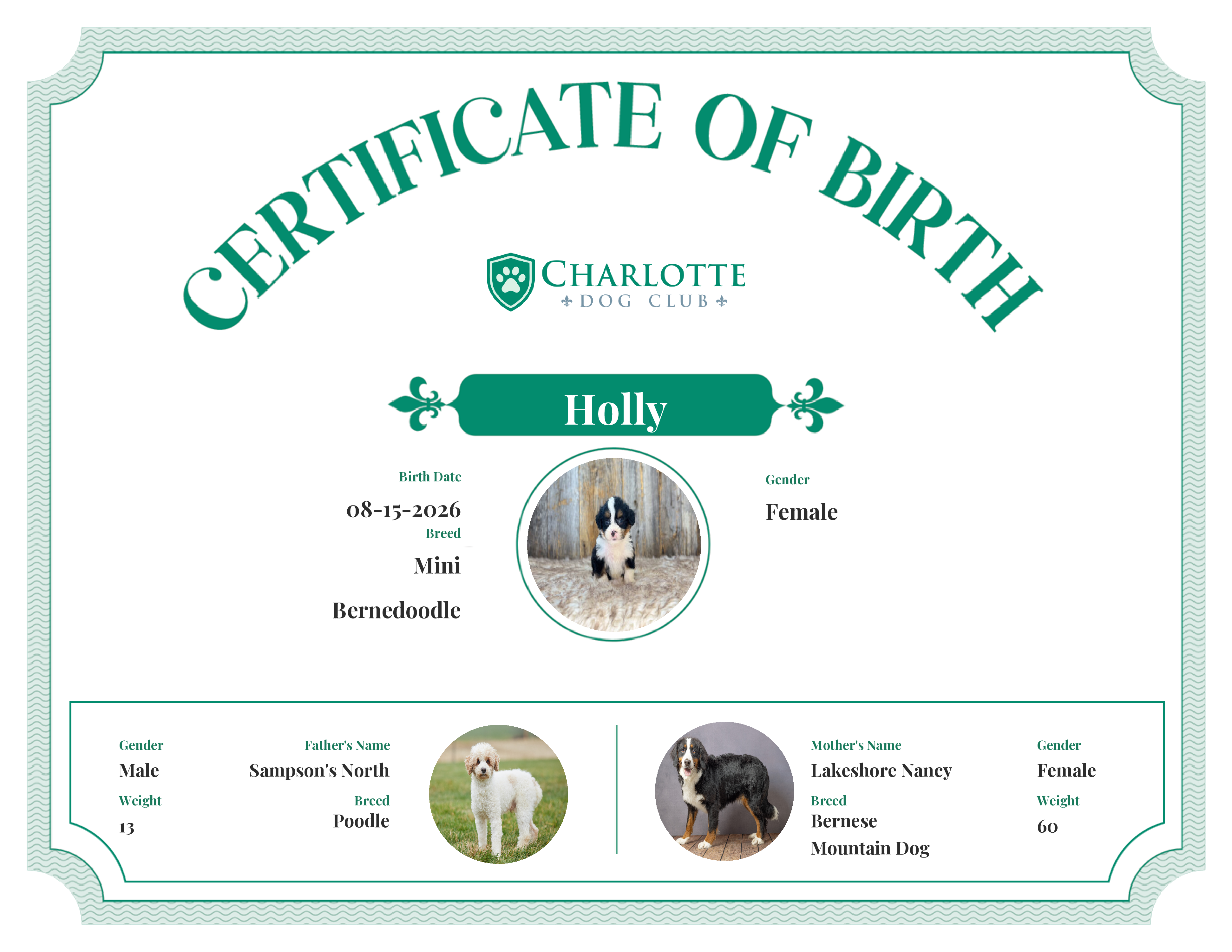 Holly's Birth Certificate