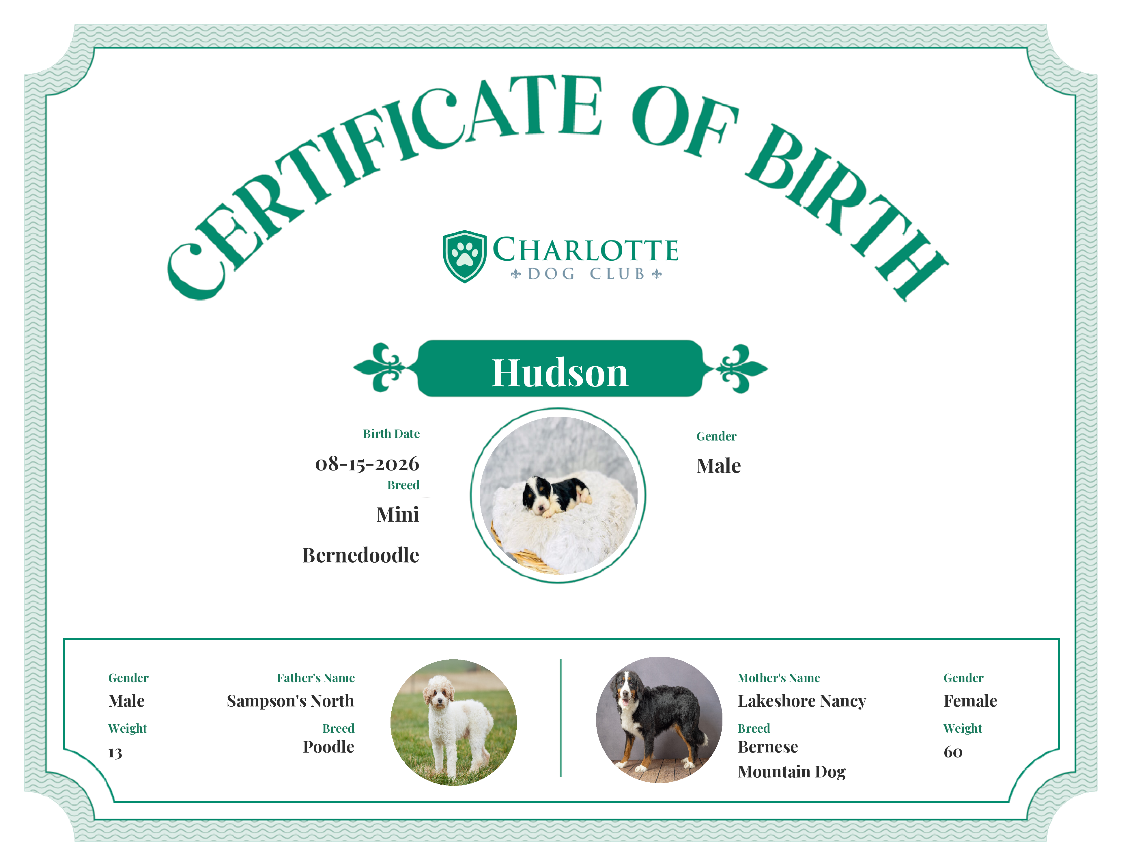 Hudson's Birth Certificate