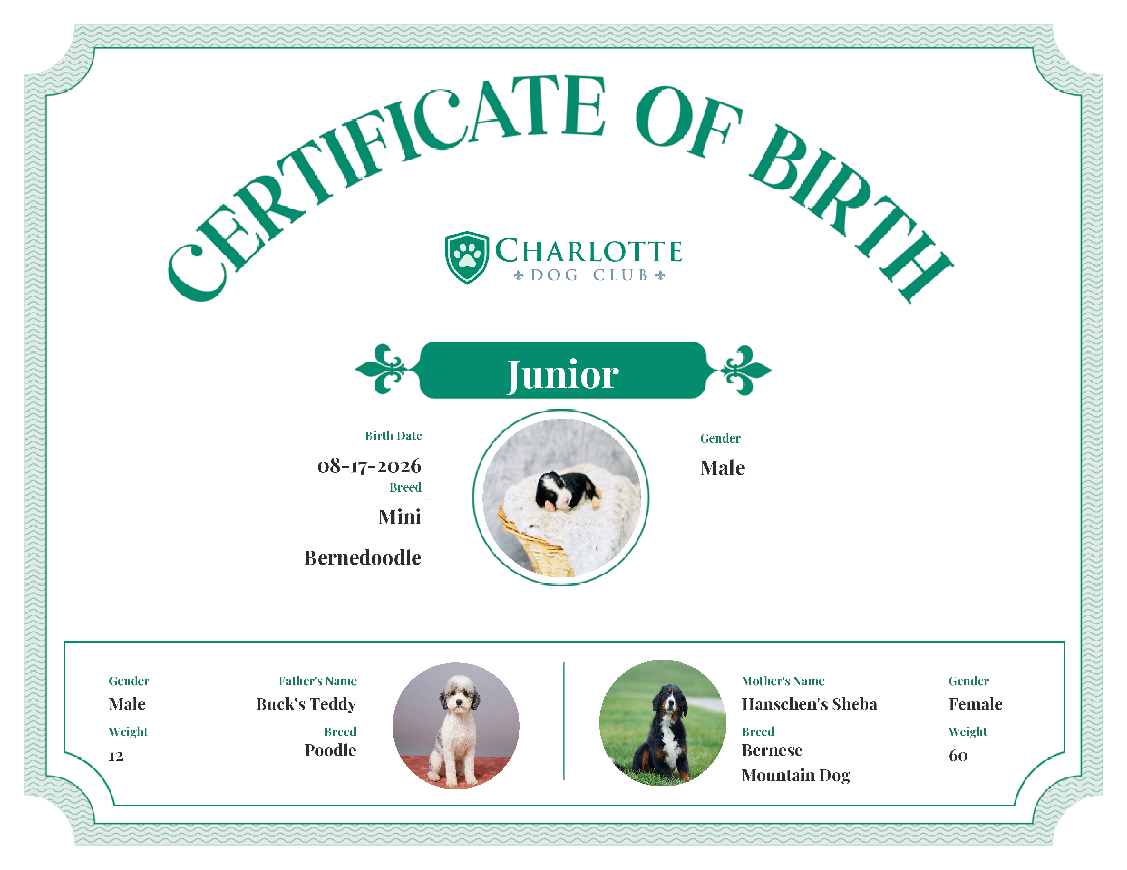 Junior's Birth Certificate