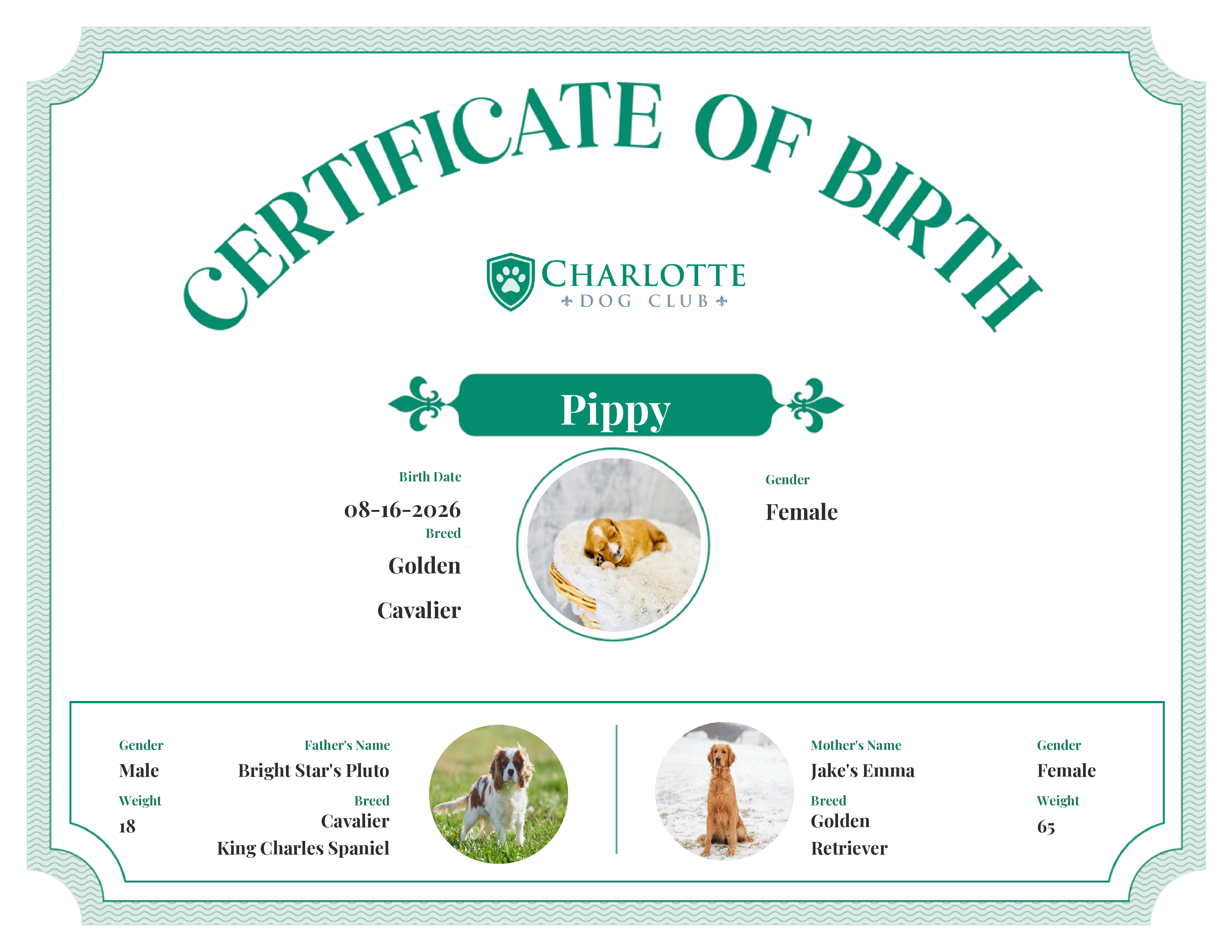 Pippy's Birth Certificate