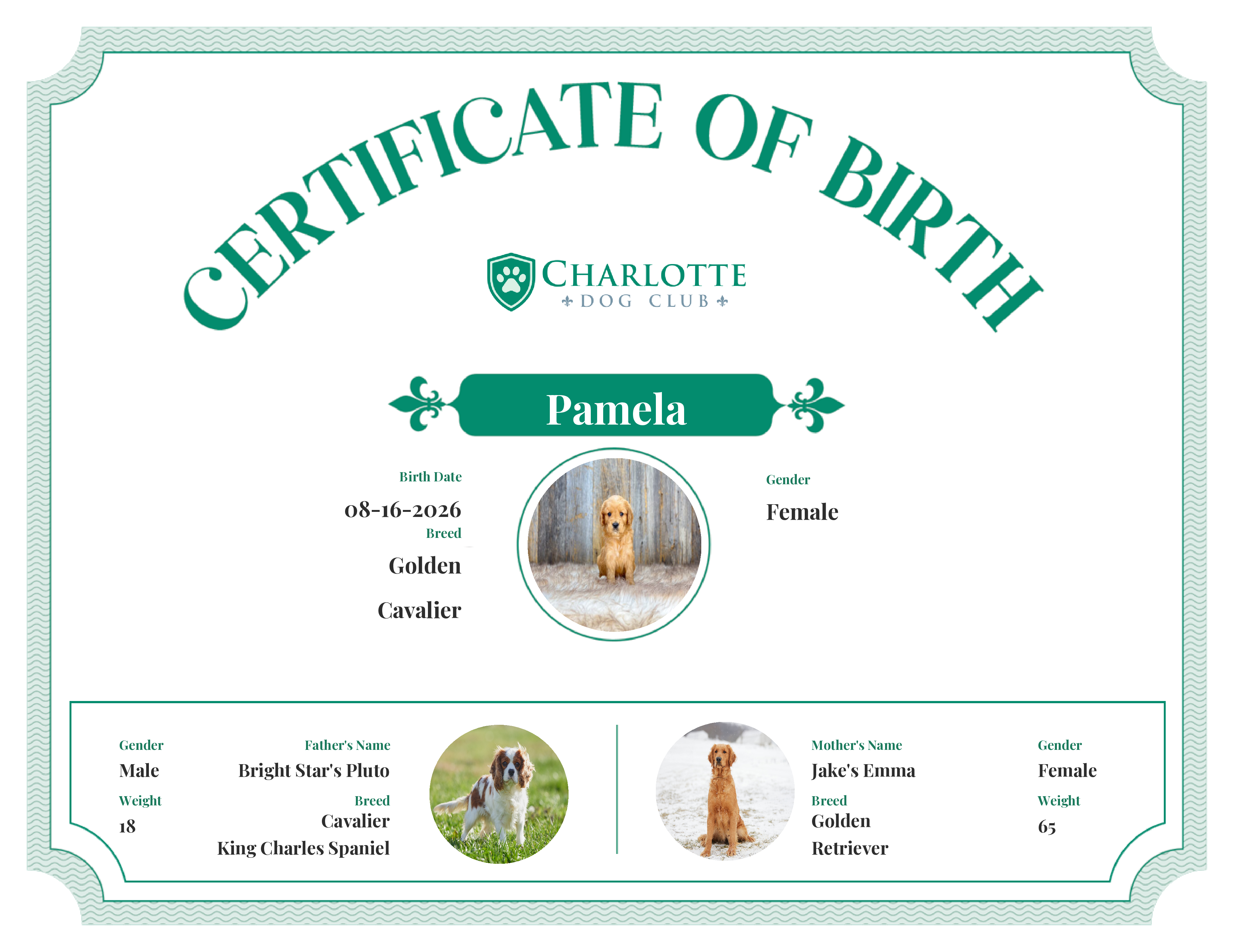Pamela's Birth Certificate