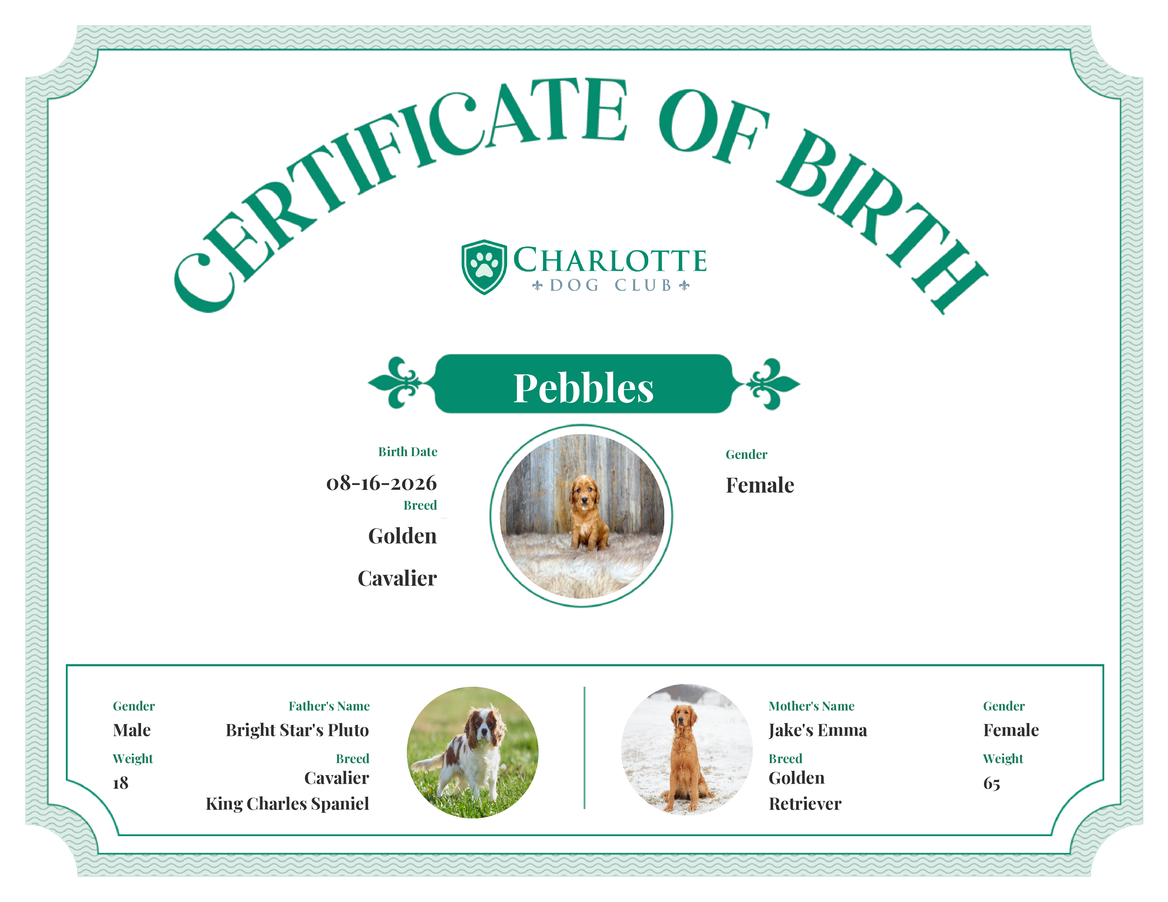 Pebbles's Birth Certificate