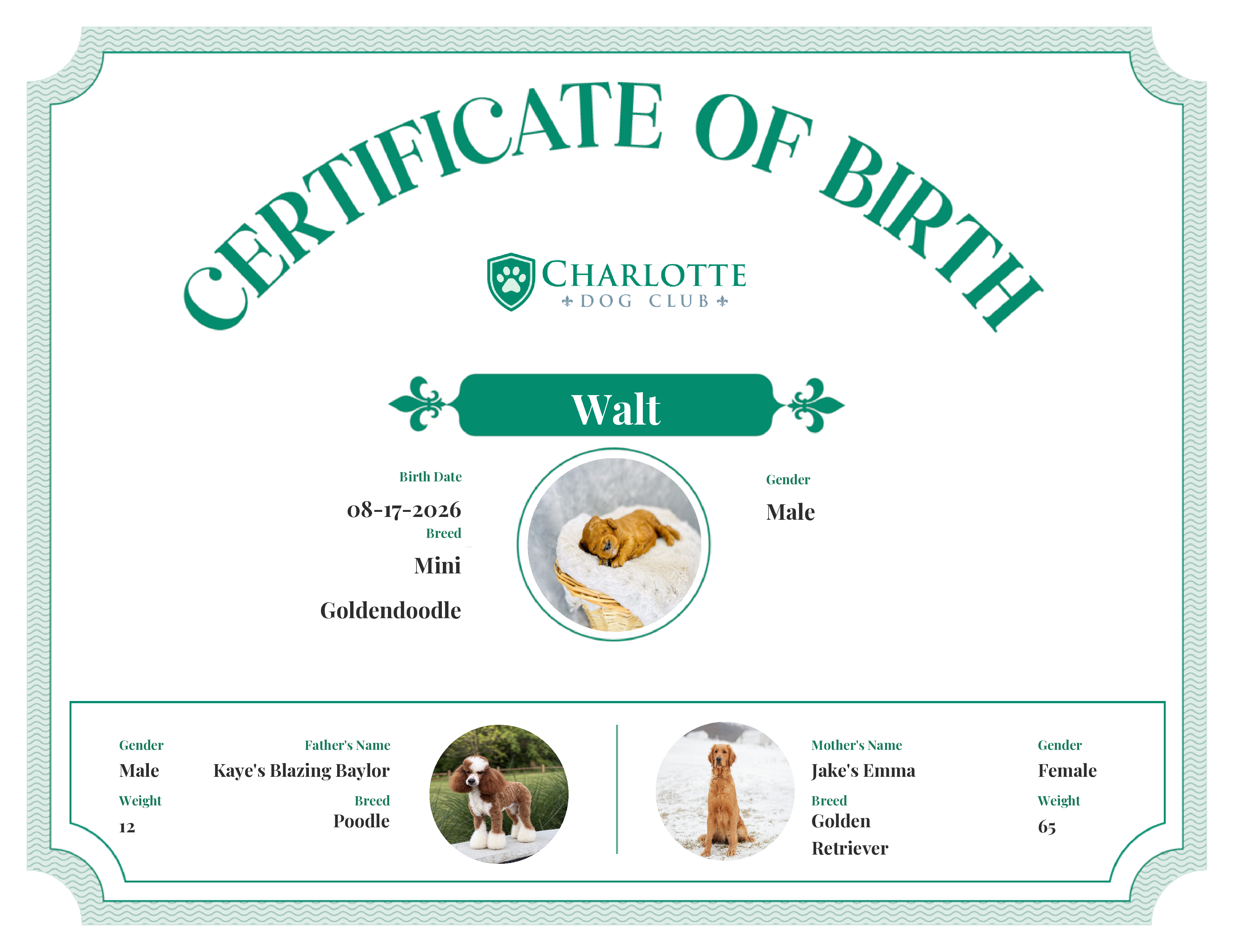 Walt's Birth Certificate