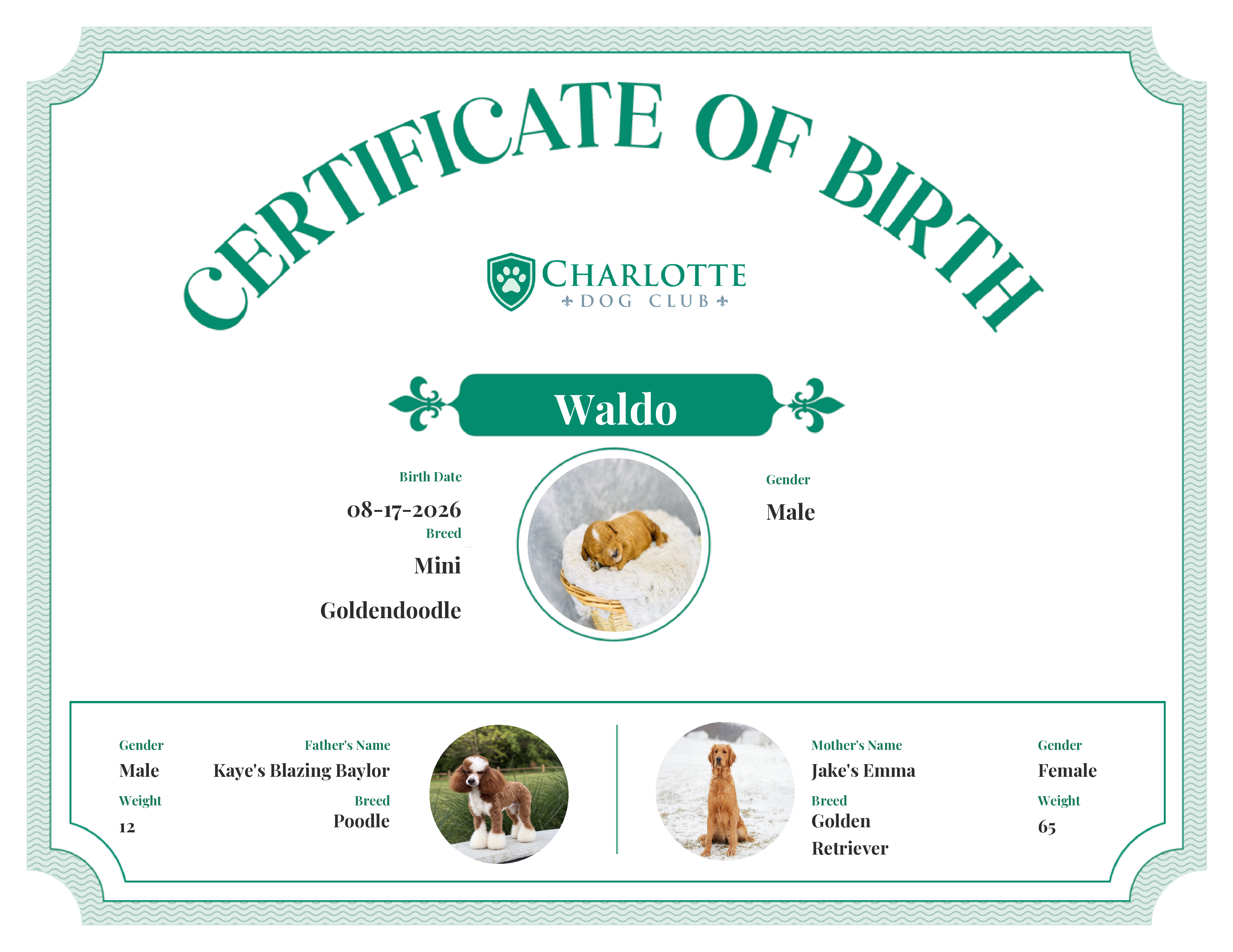 Waldo's Birth Certificate