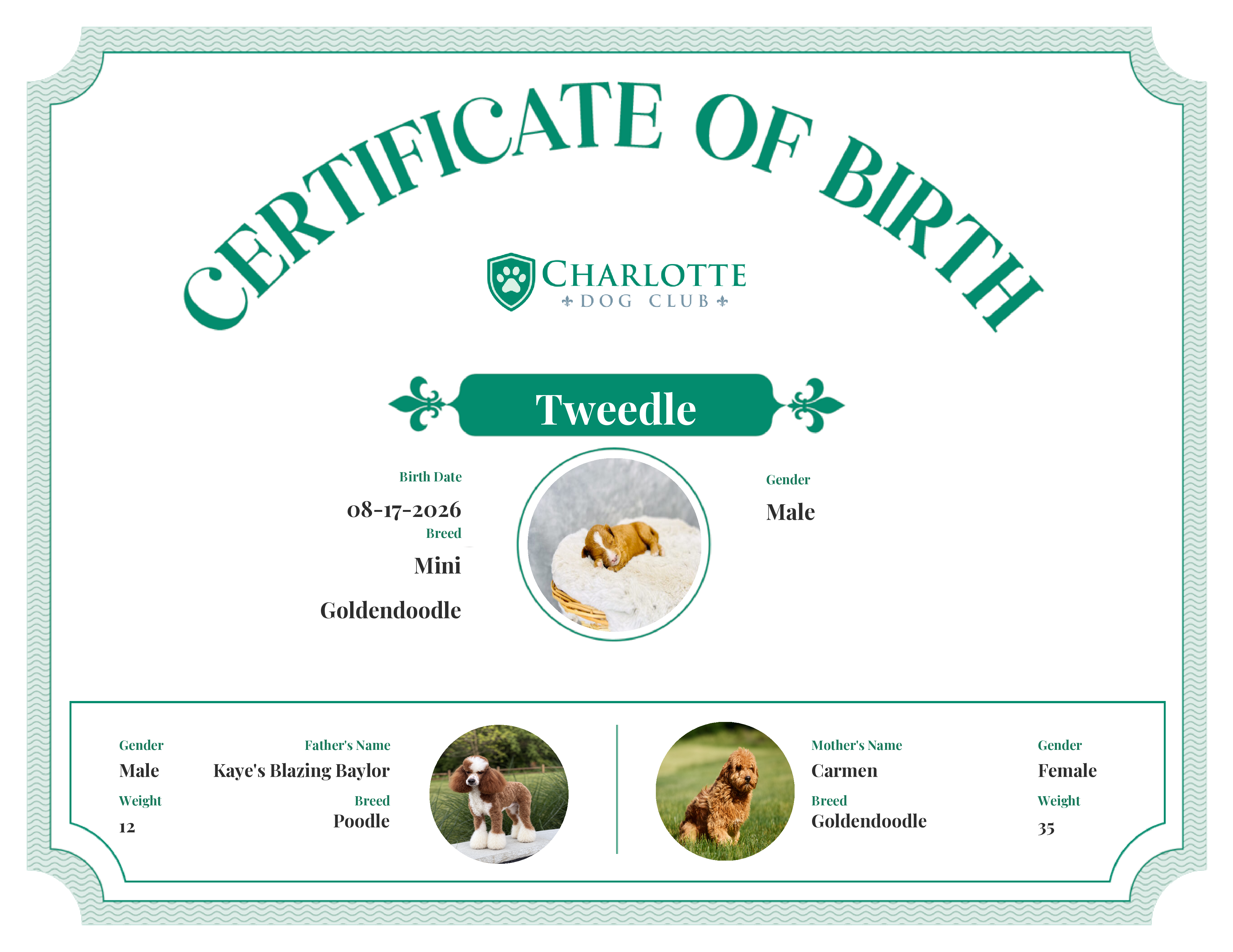 Tweedle's Birth Certificate
