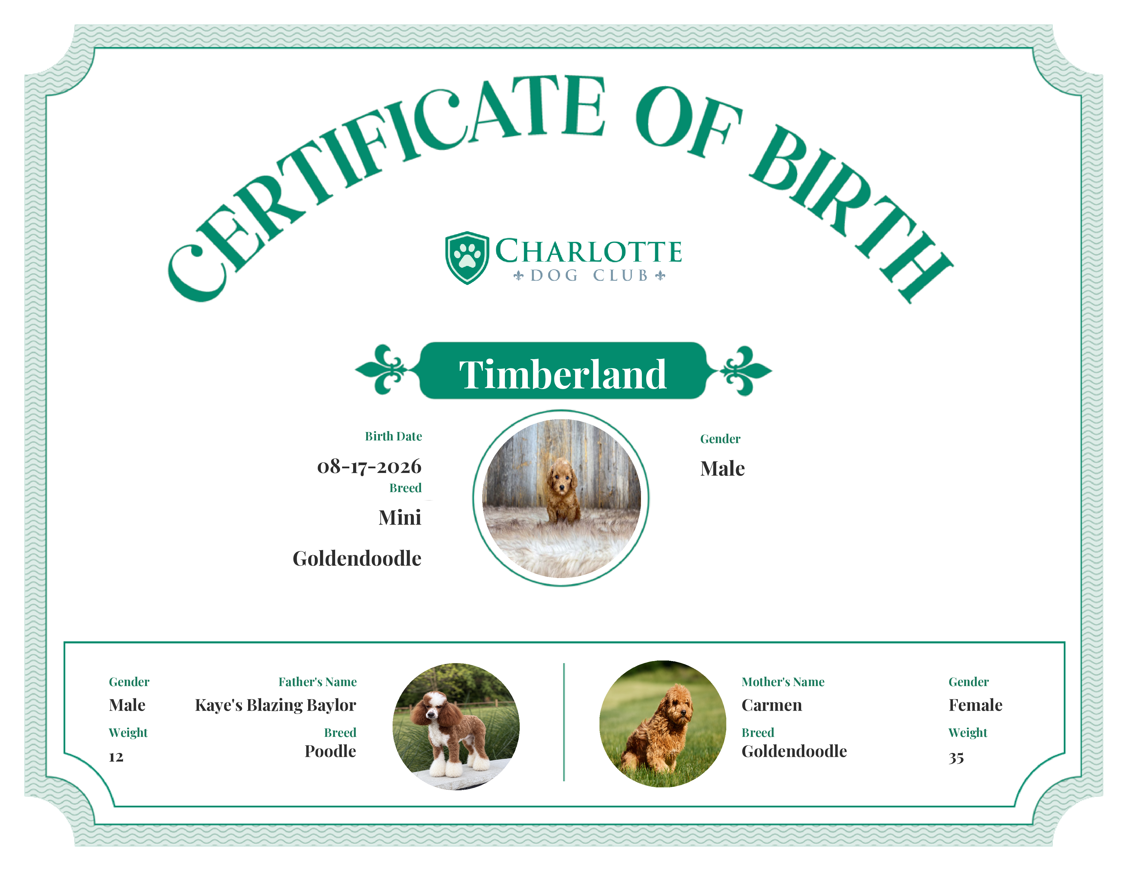 Timberland's Birth Certificate
