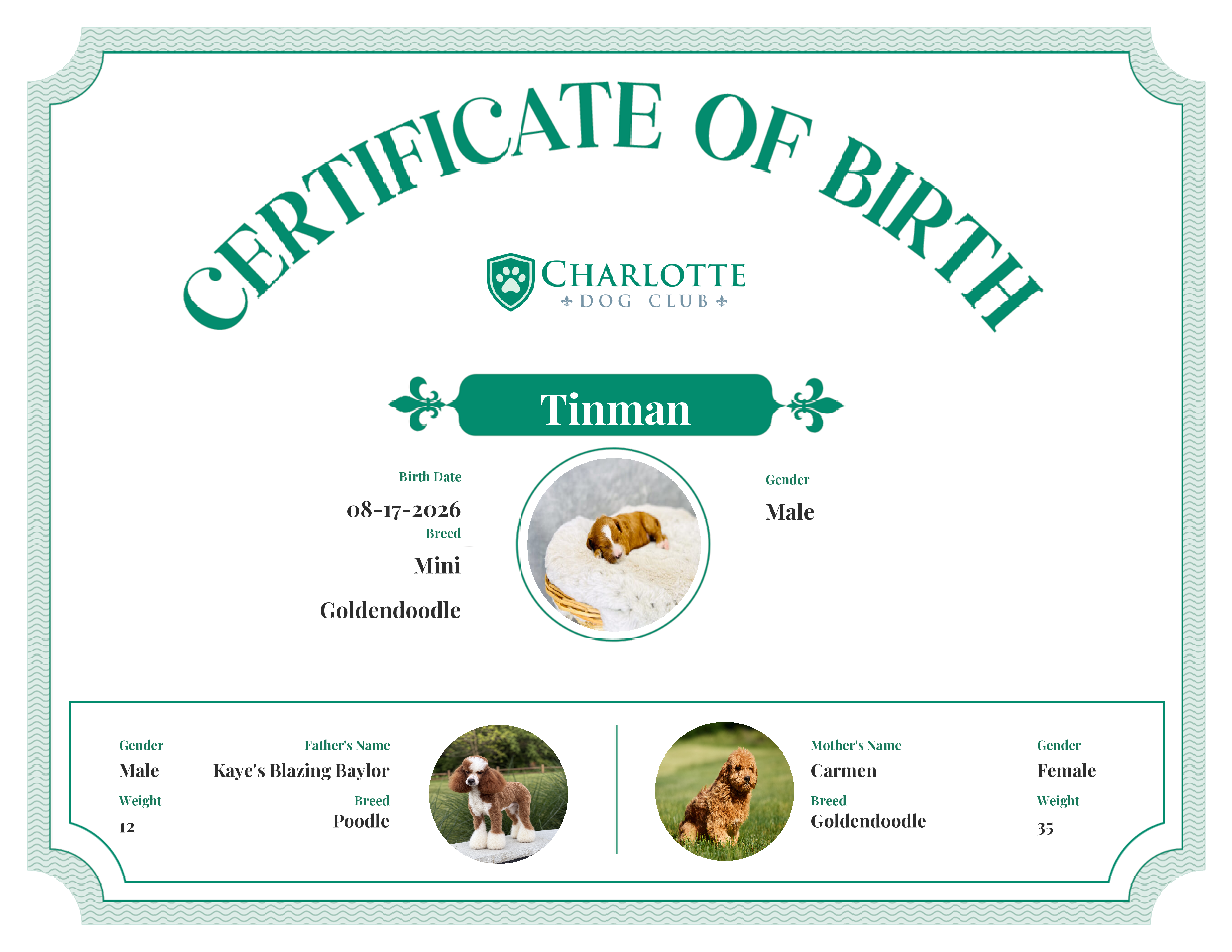 Tinman's Birth Certificate