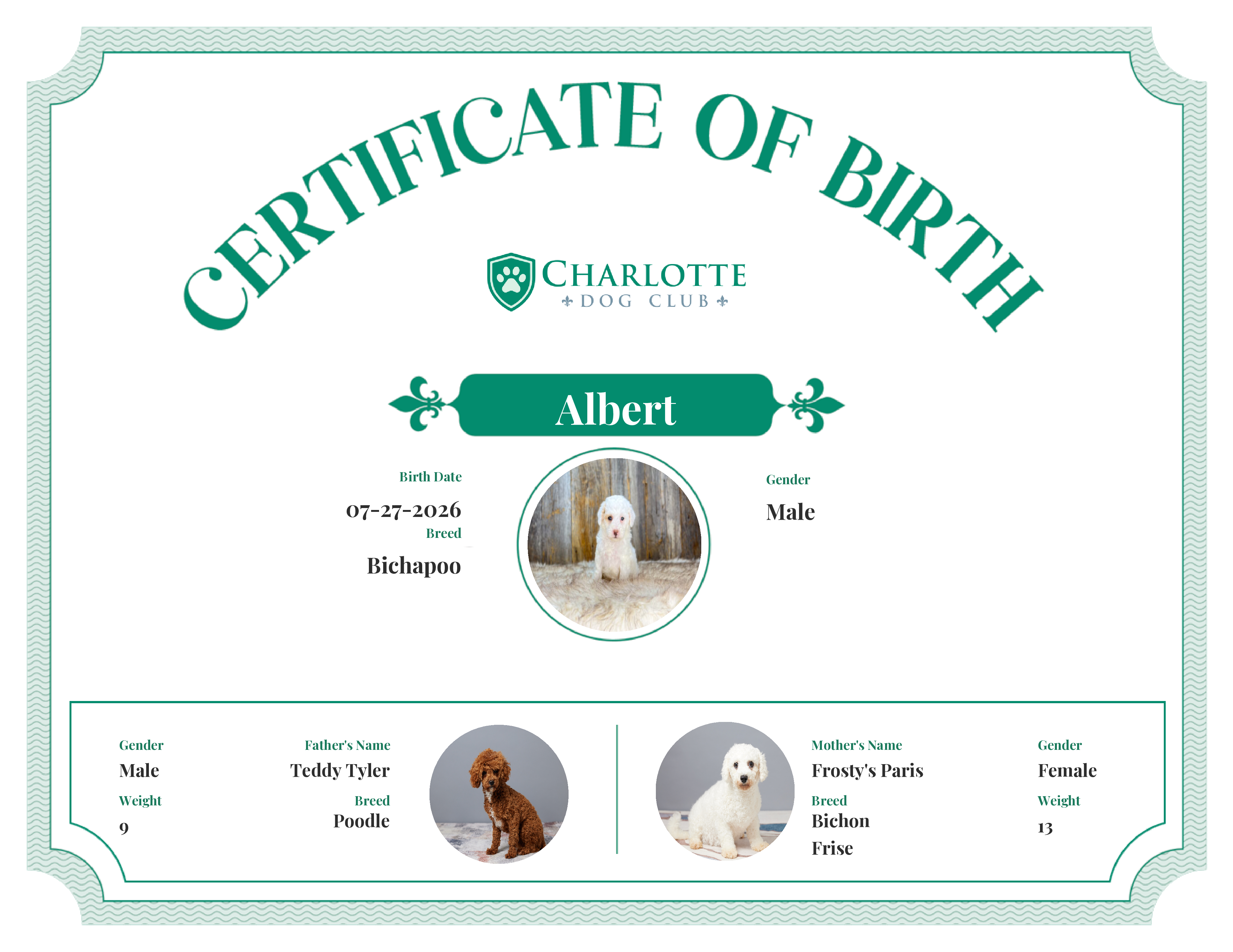 Albert's Birth Certificate