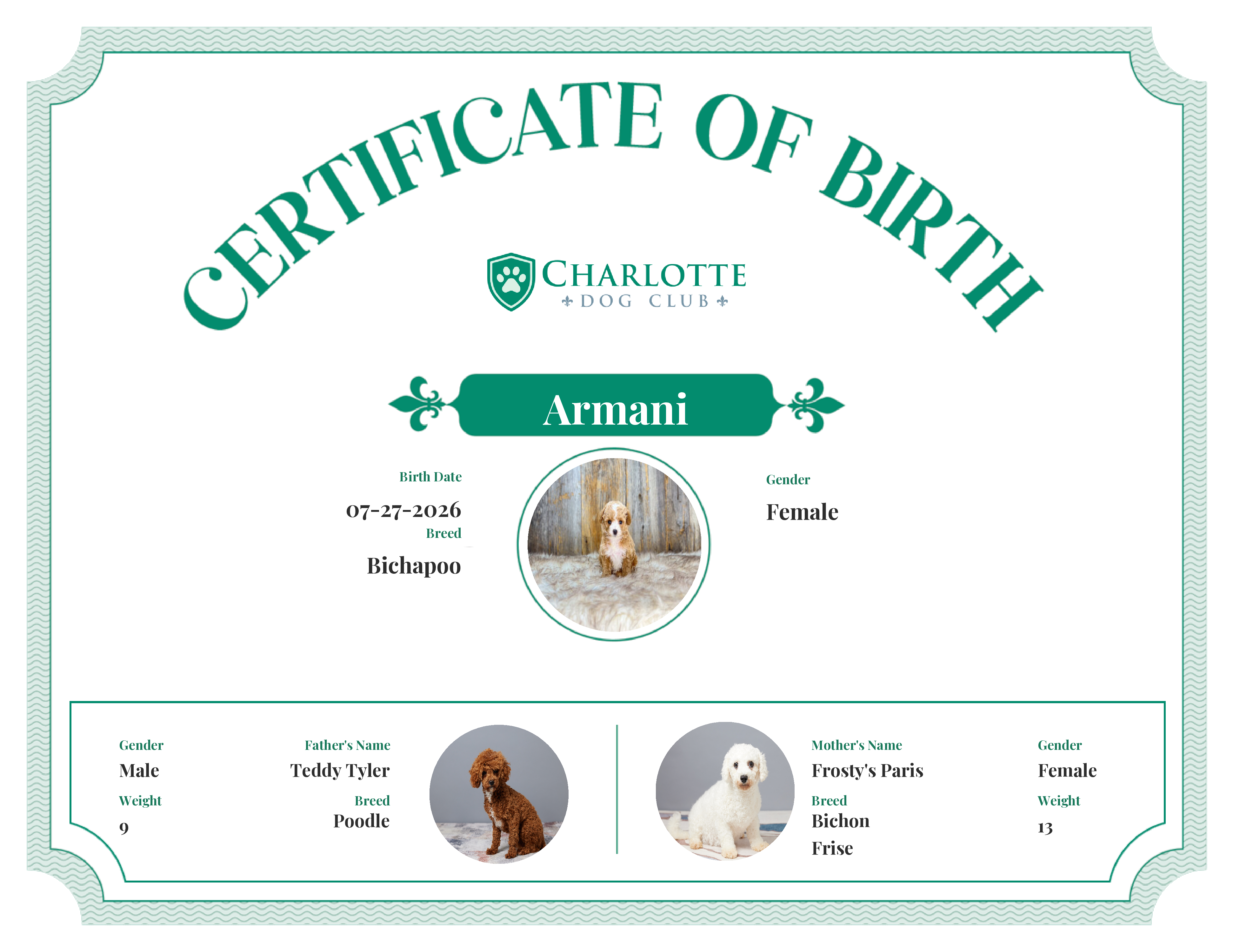 Armani's Birth Certificate