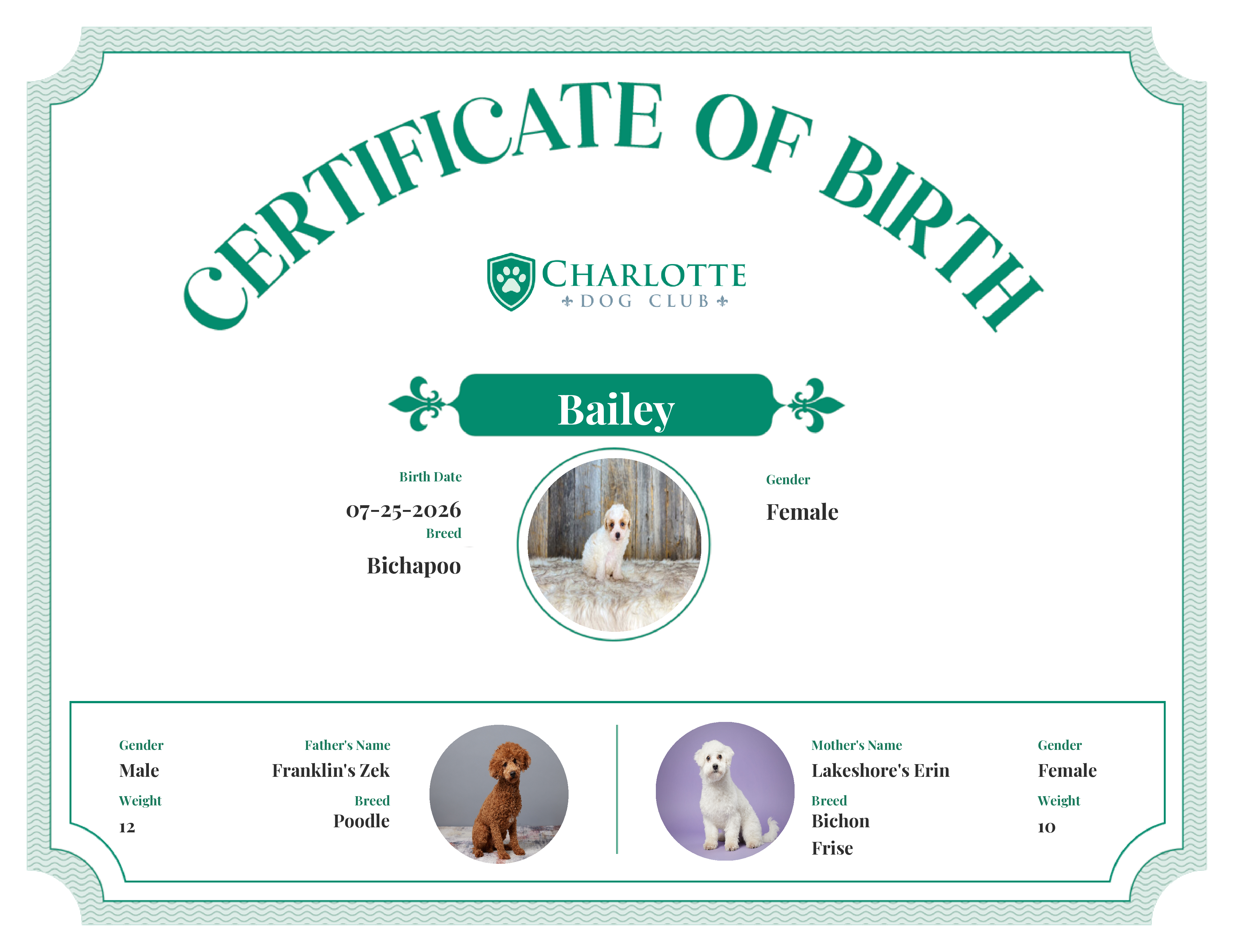 Bailey's Birth Certificate