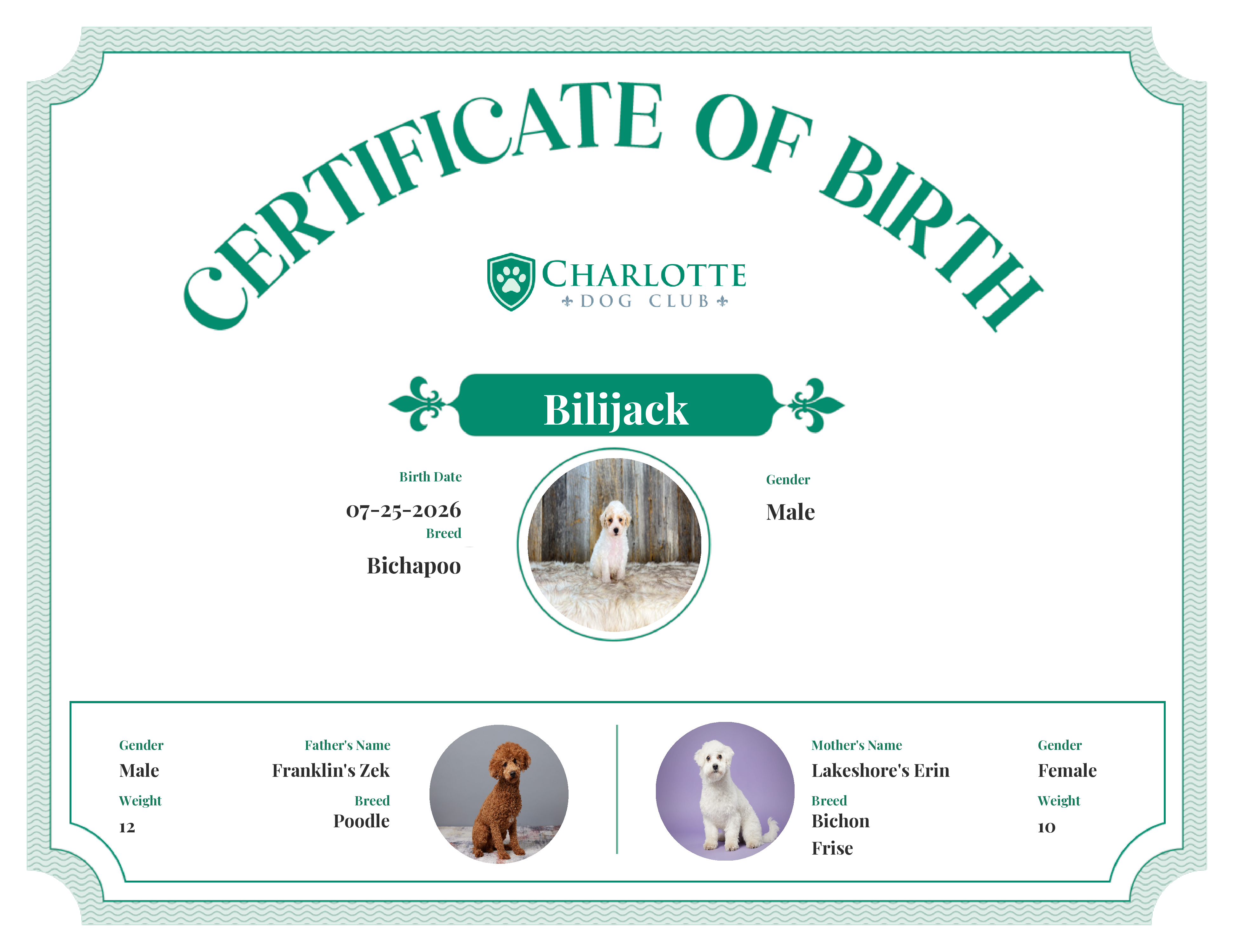 Bilijack's Birth Certificate