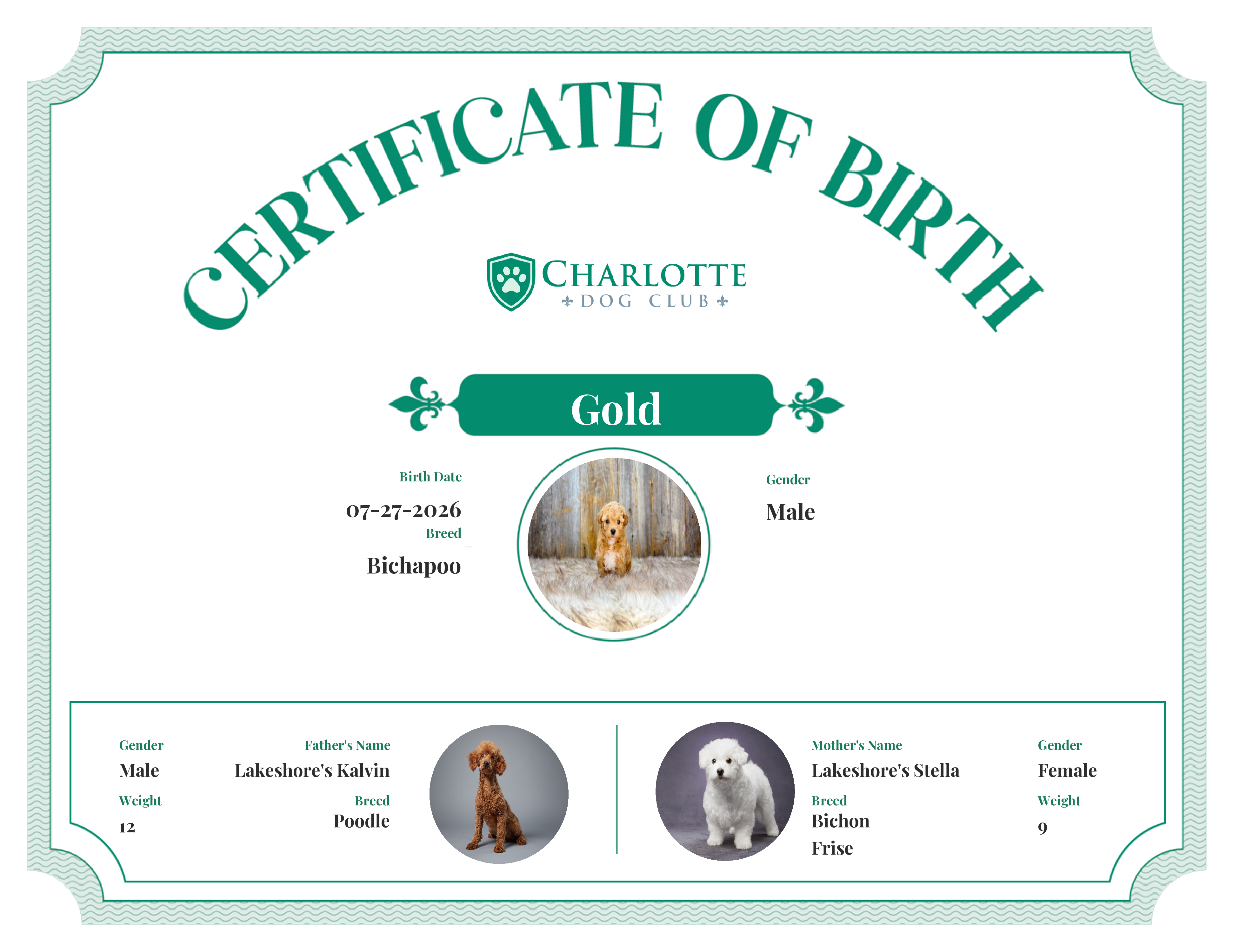 Gold's Birth Certificate