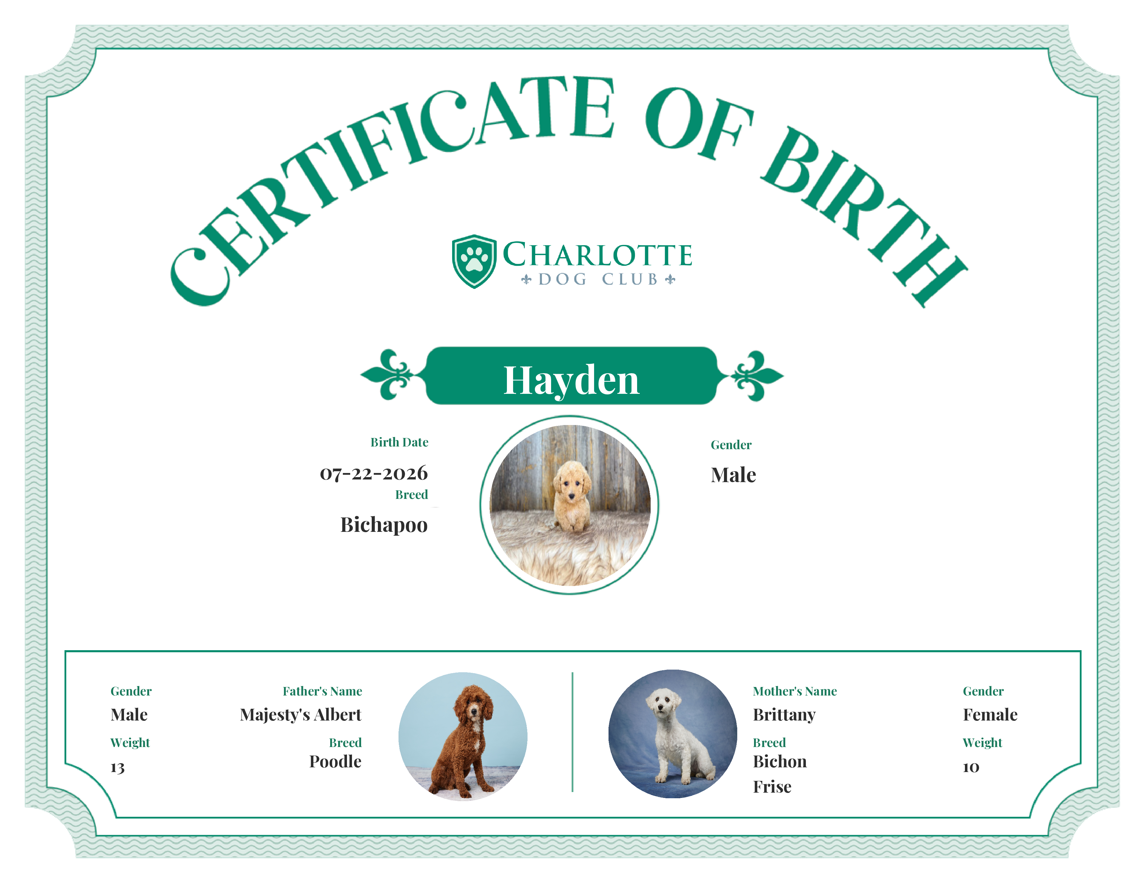 Hayden's Birth Certificate