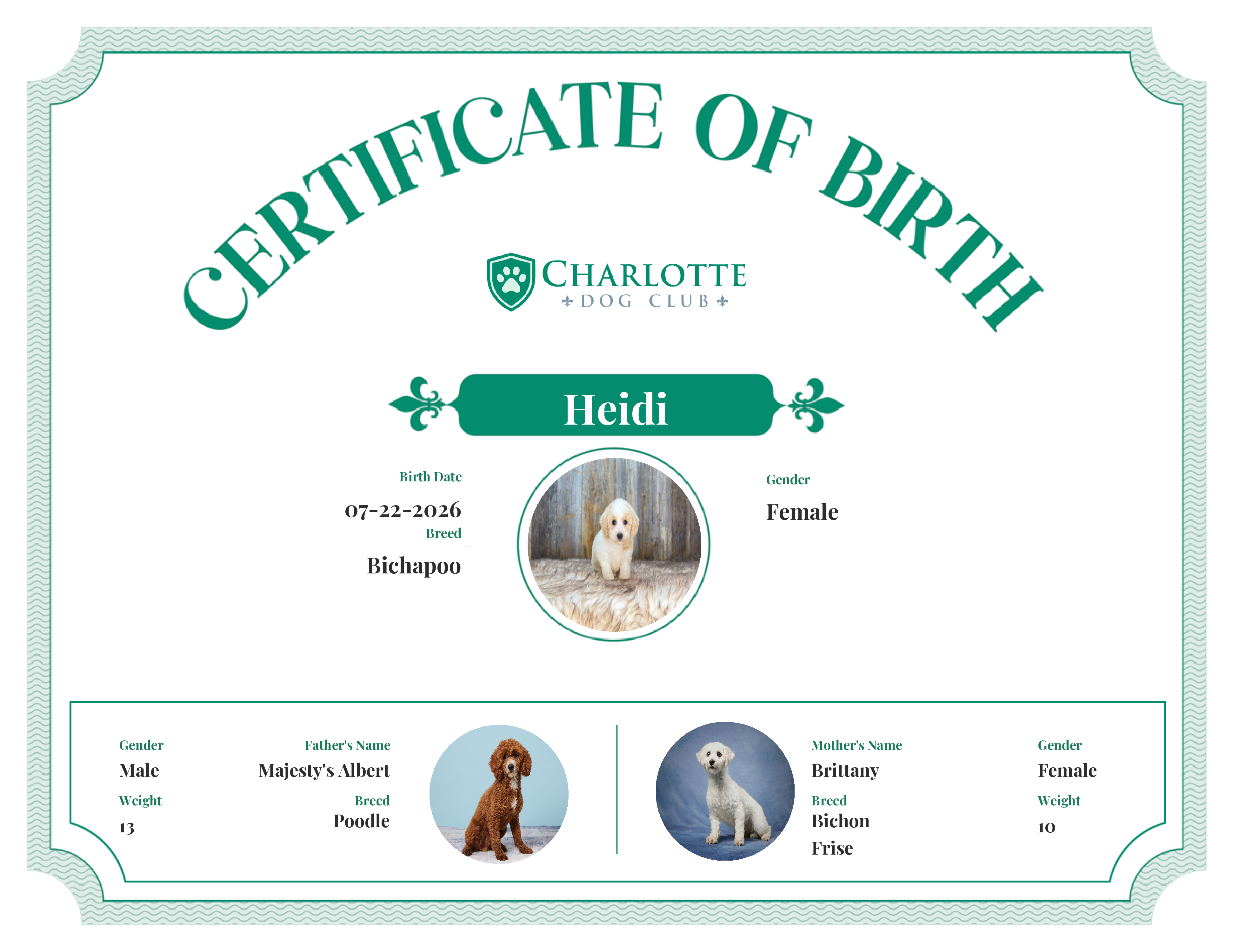 Heidi's Birth Certificate