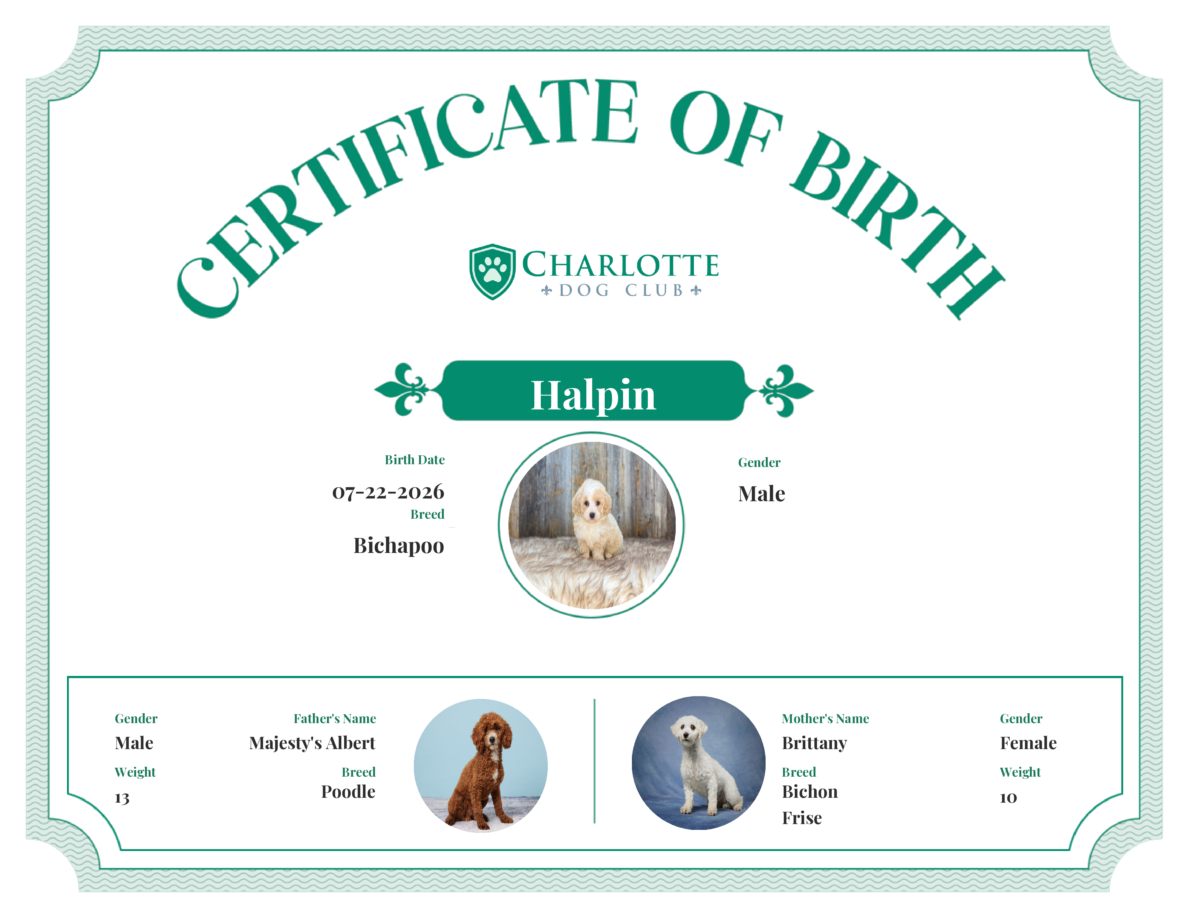Halpin's Birth Certificate