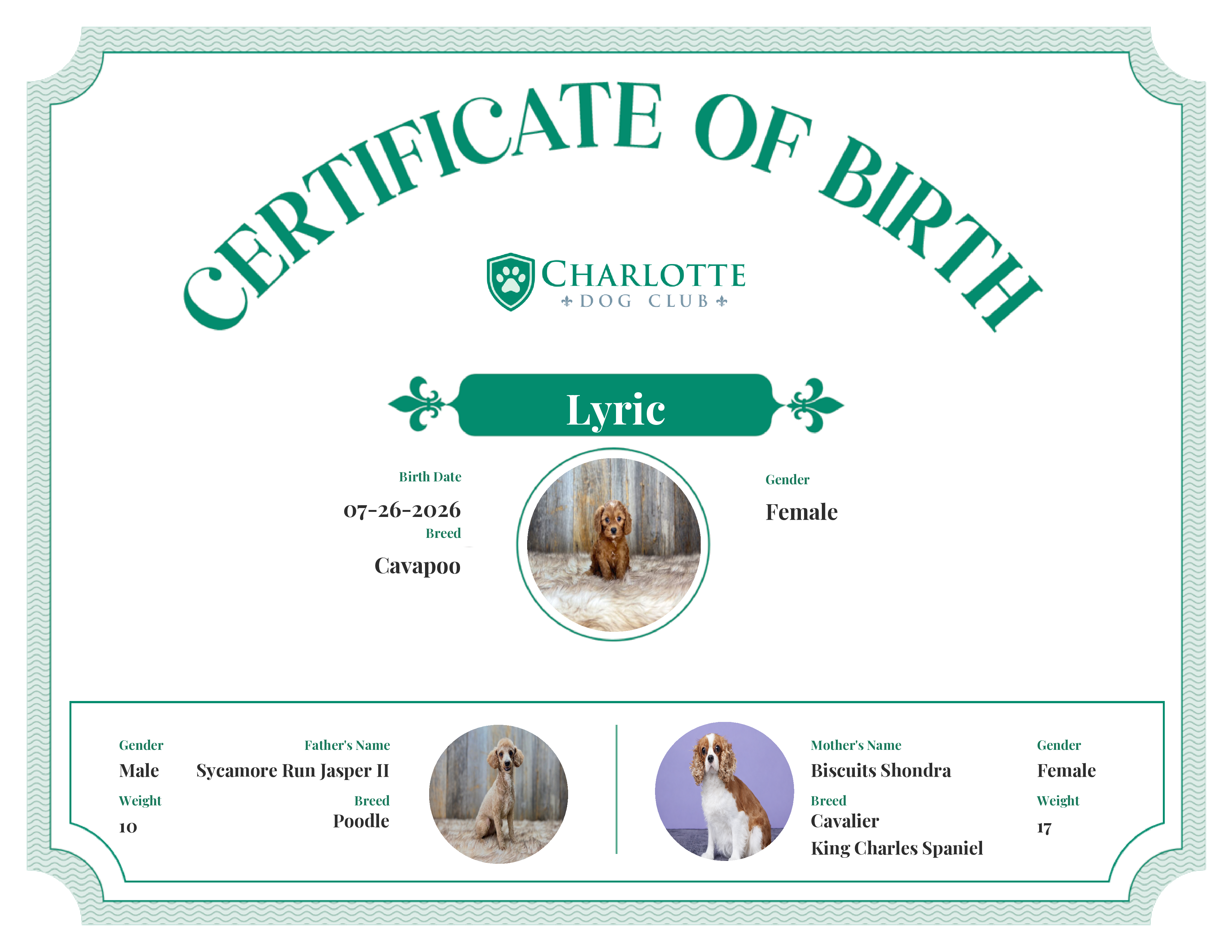 Lyric's Birth Certificate