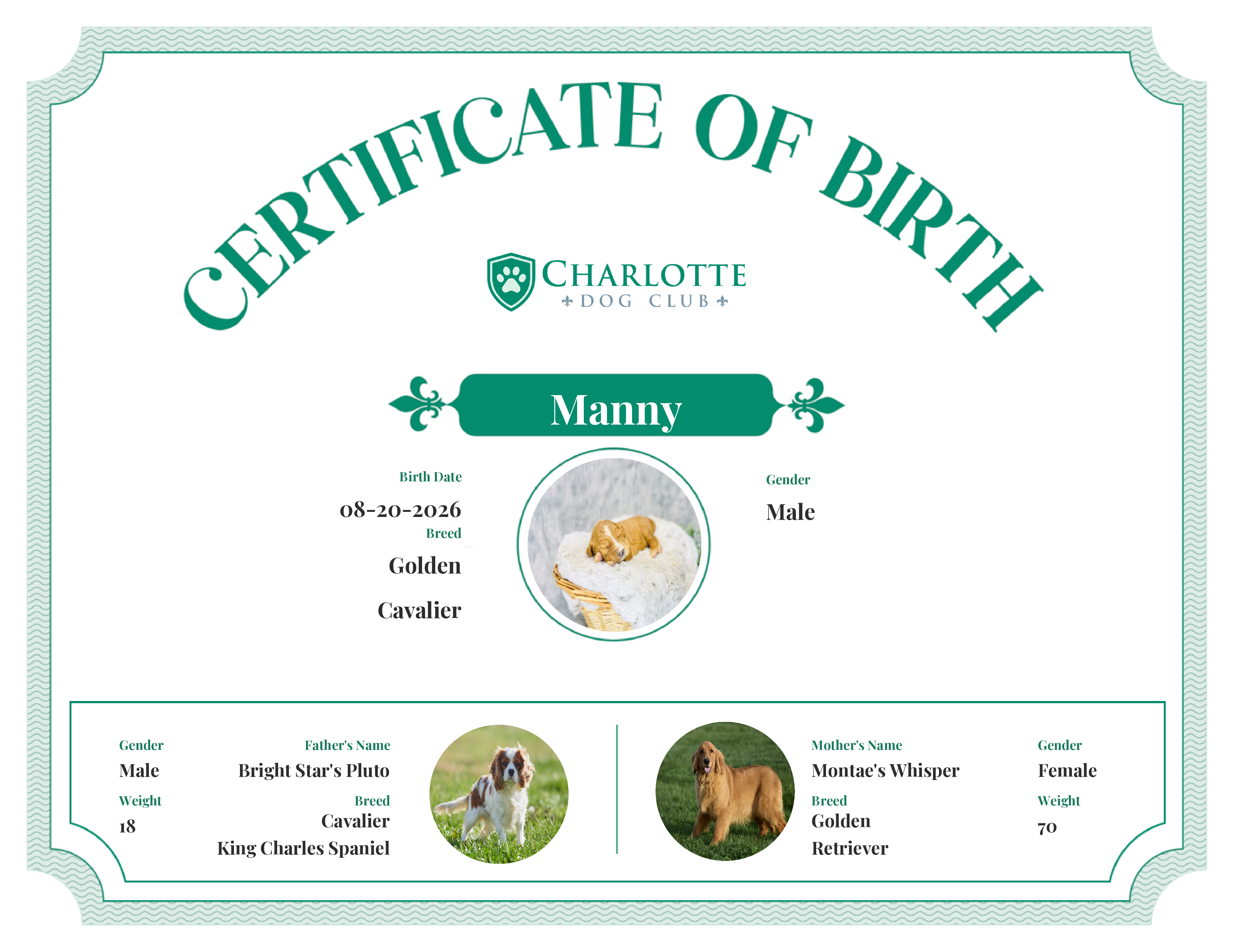 Manny's Birth Certificate