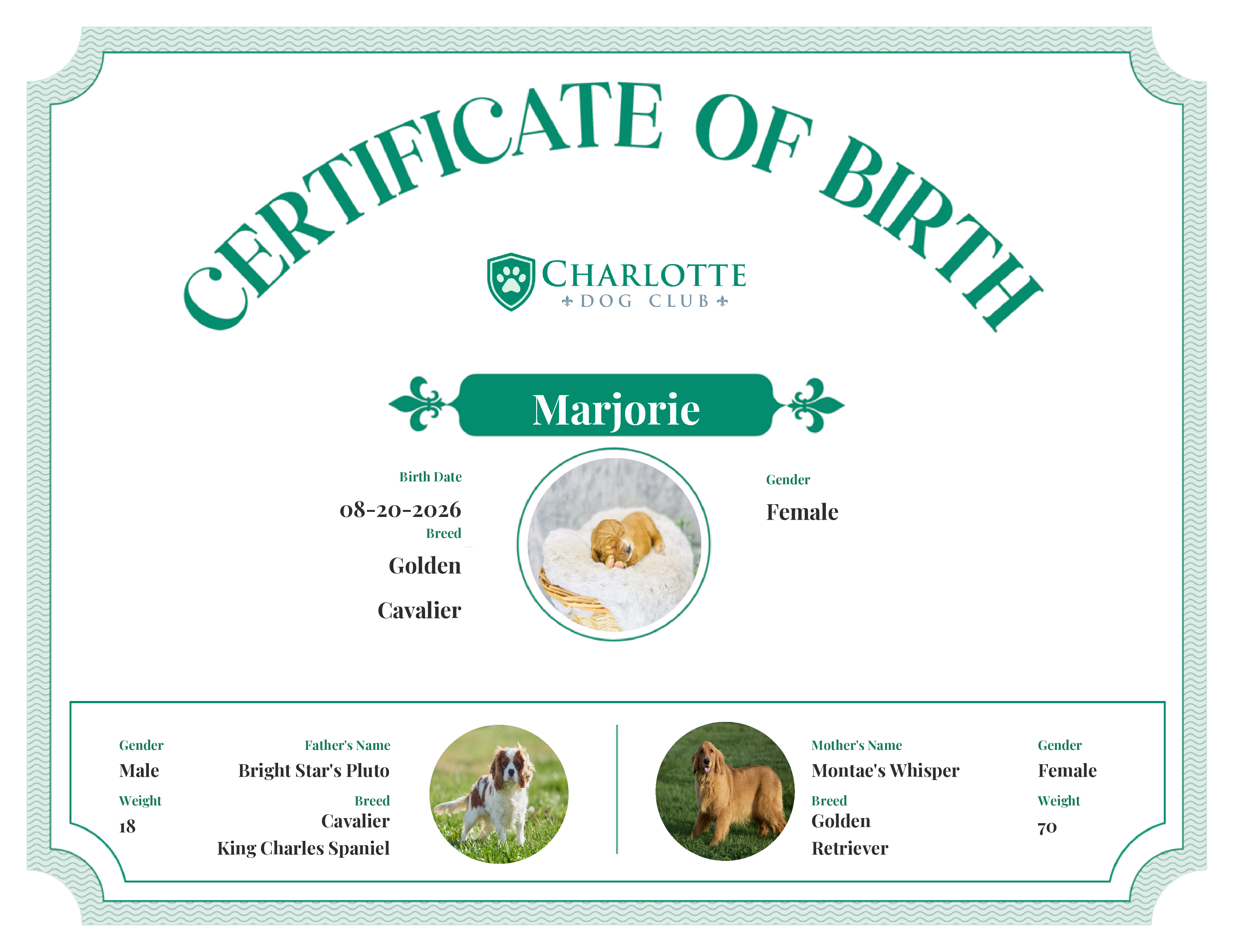 Marjorie's Birth Certificate