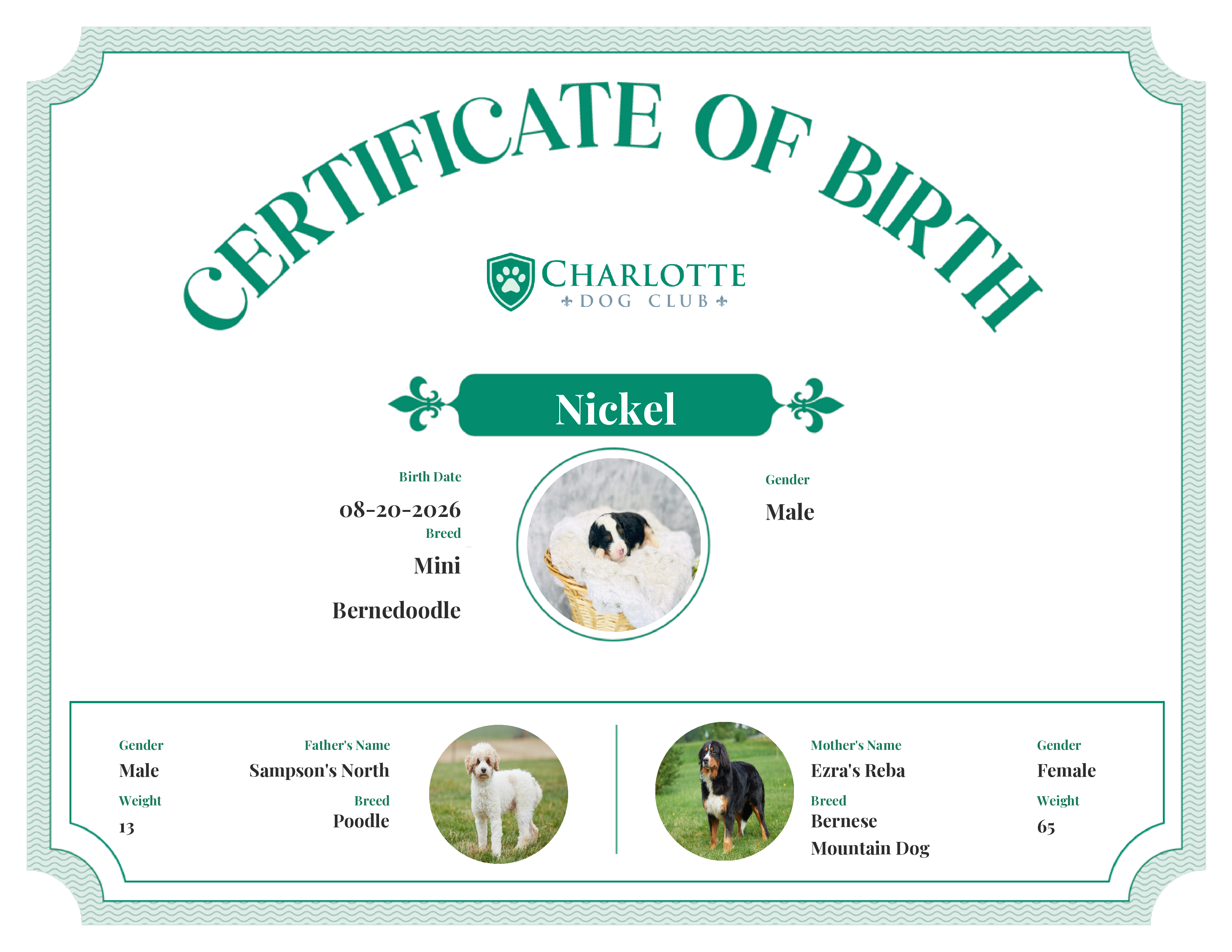 Nickel's Birth Certificate