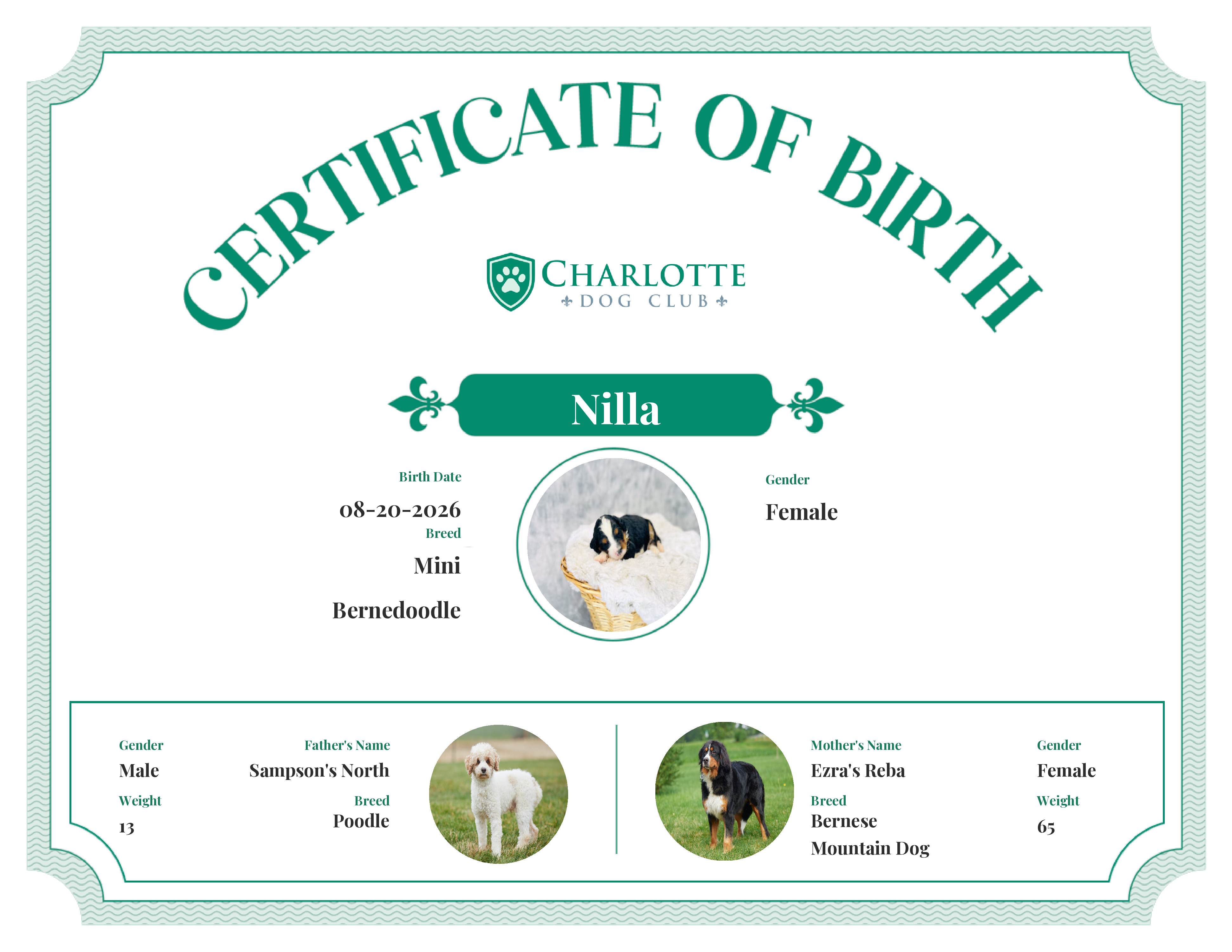 Nilla's Birth Certificate