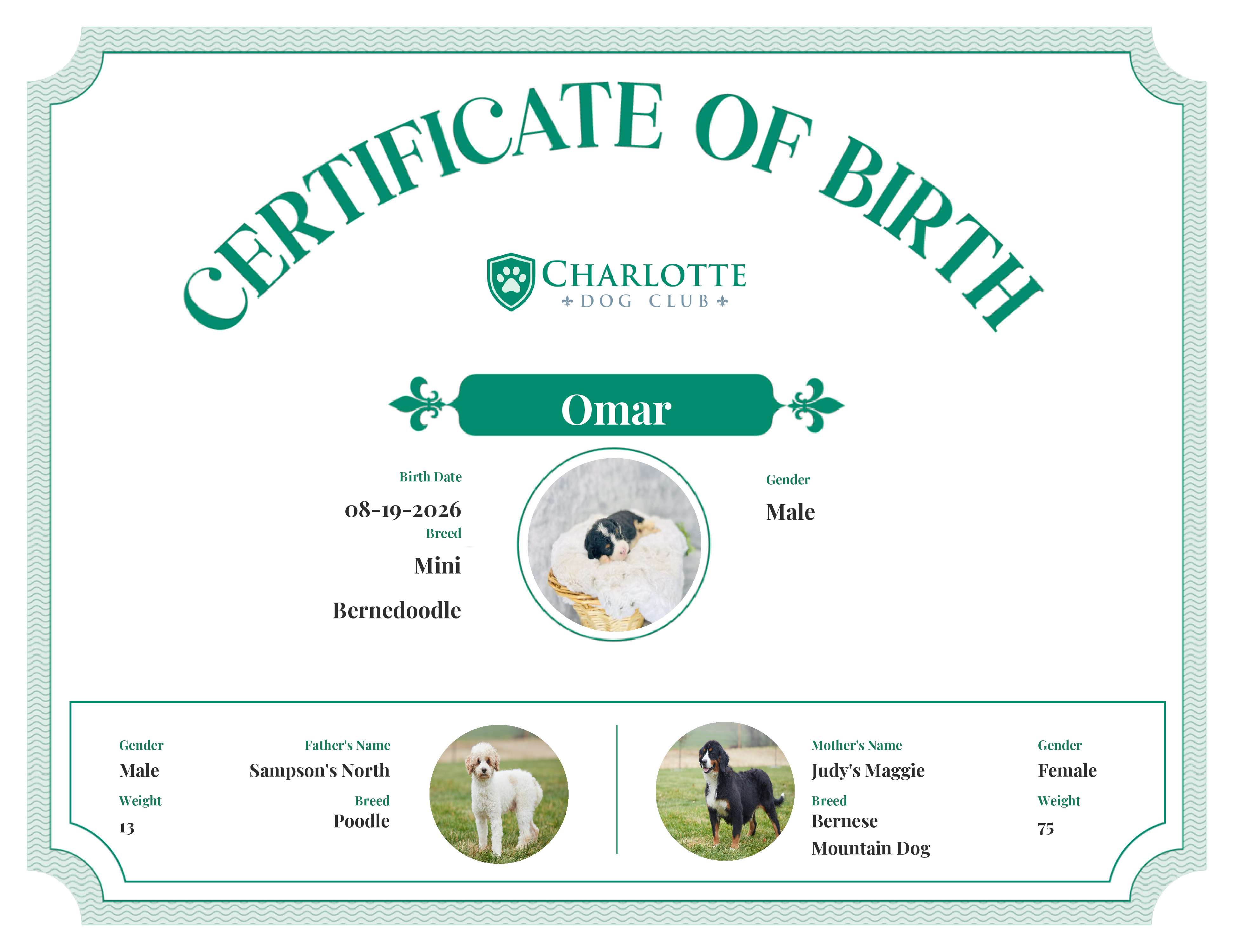 Omar's Birth Certificate