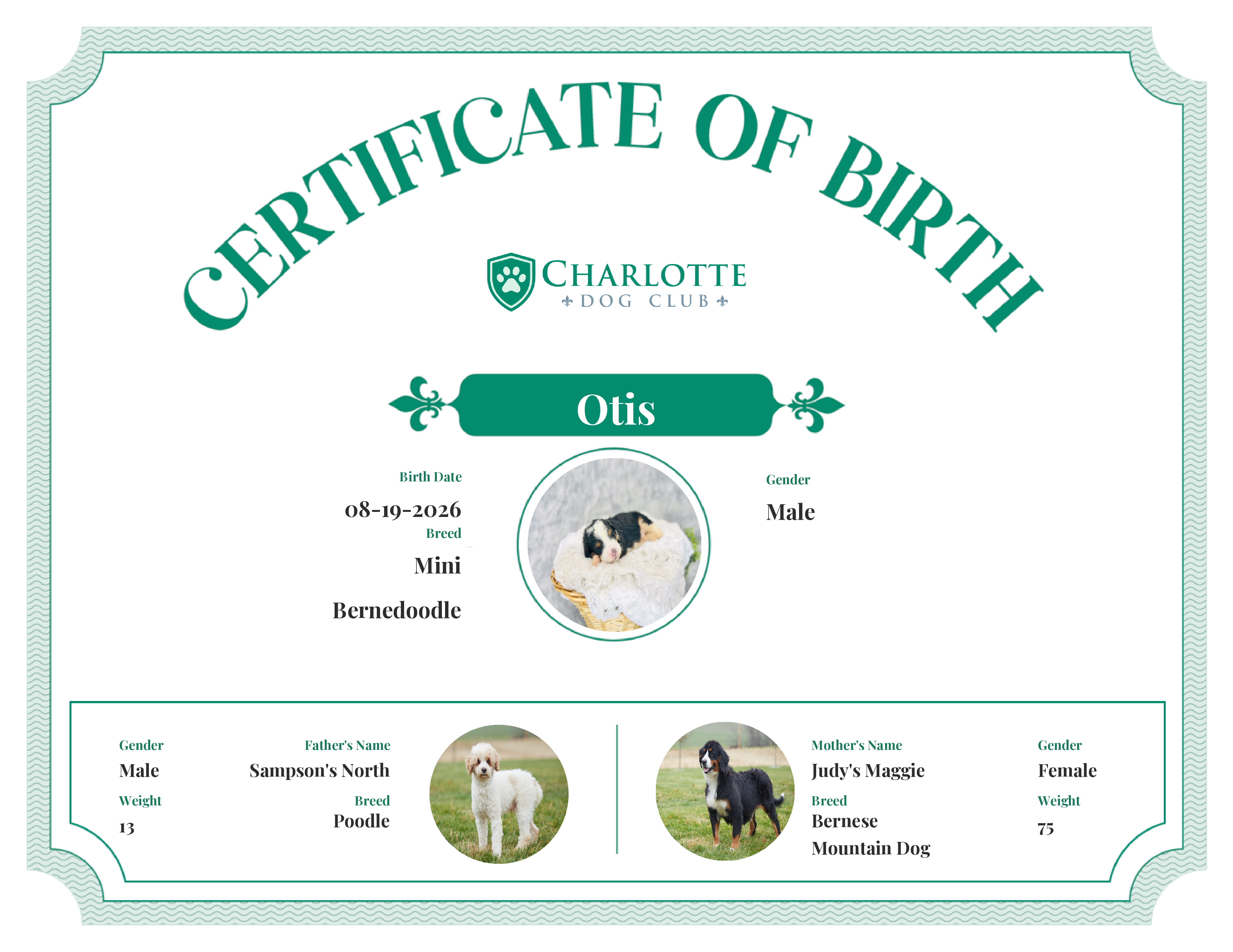 Otis's Birth Certificate