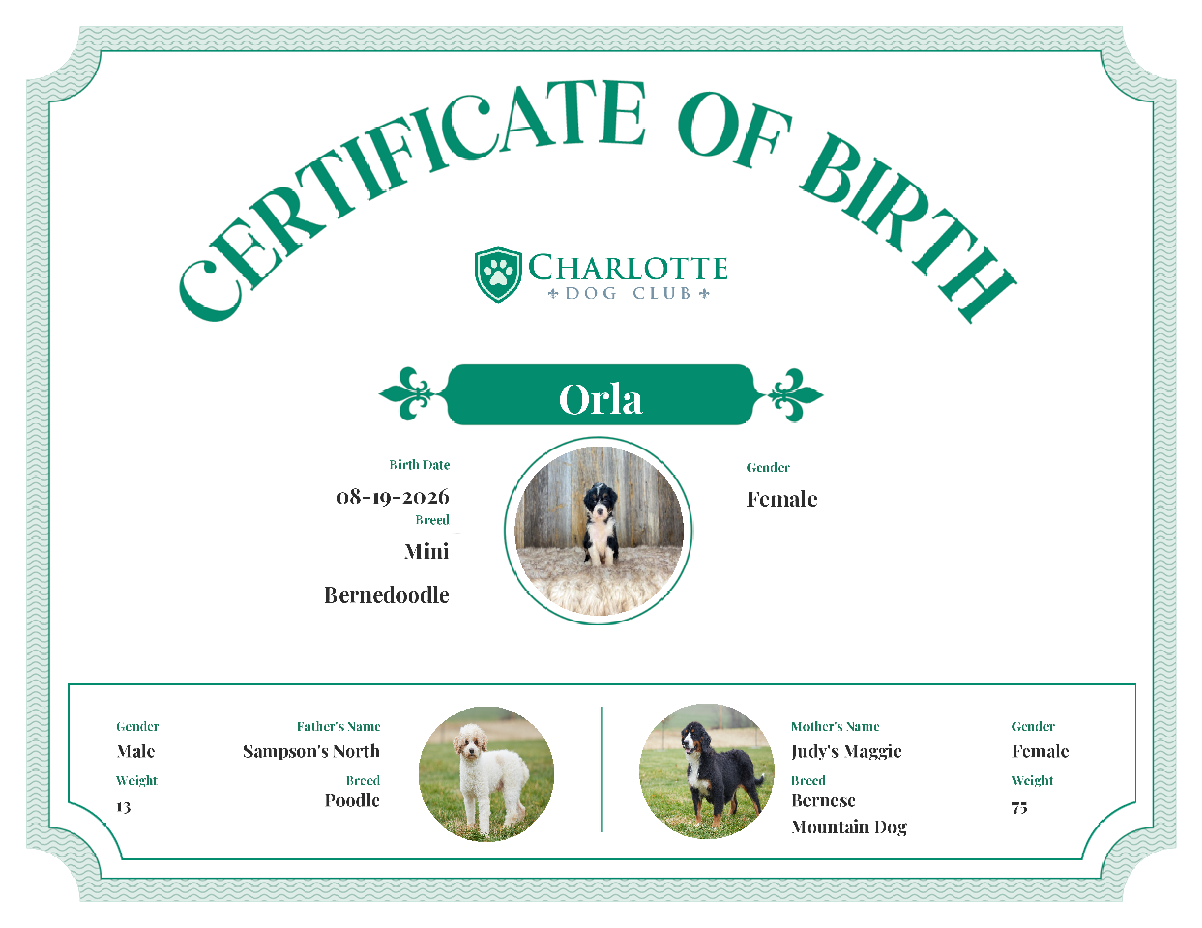 Orla's Birth Certificate