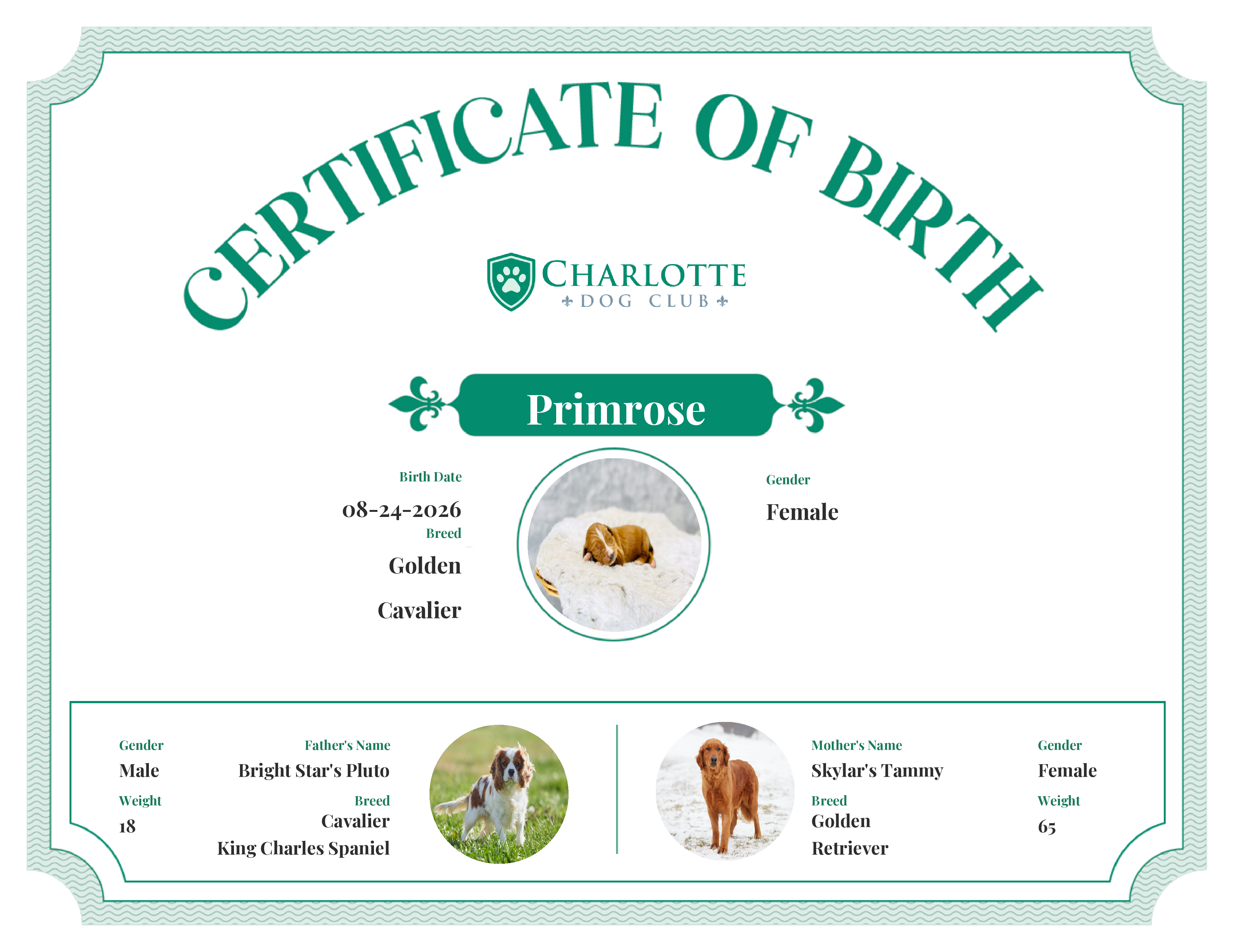 Primrose's Birth Certificate