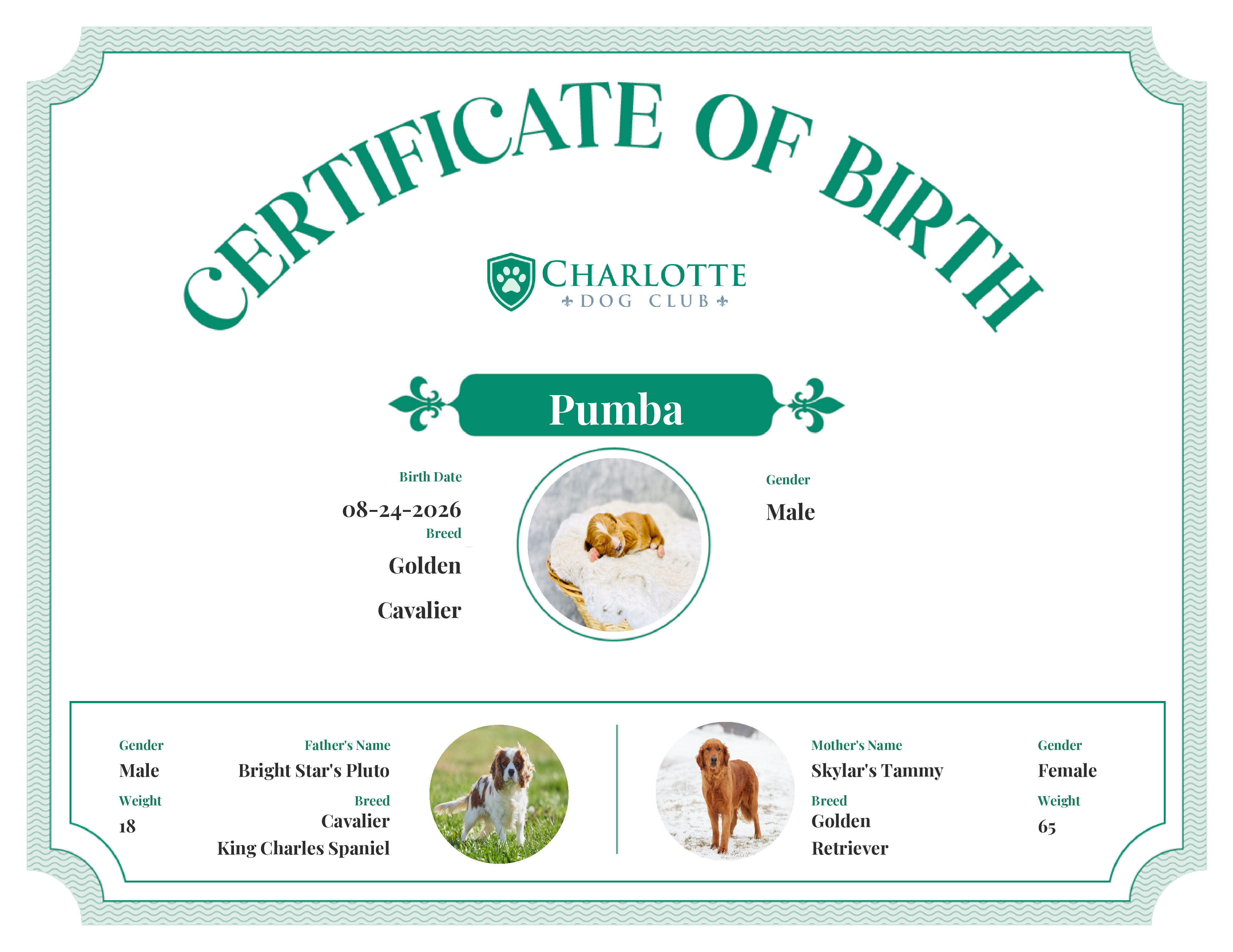 Pumba's Birth Certificate