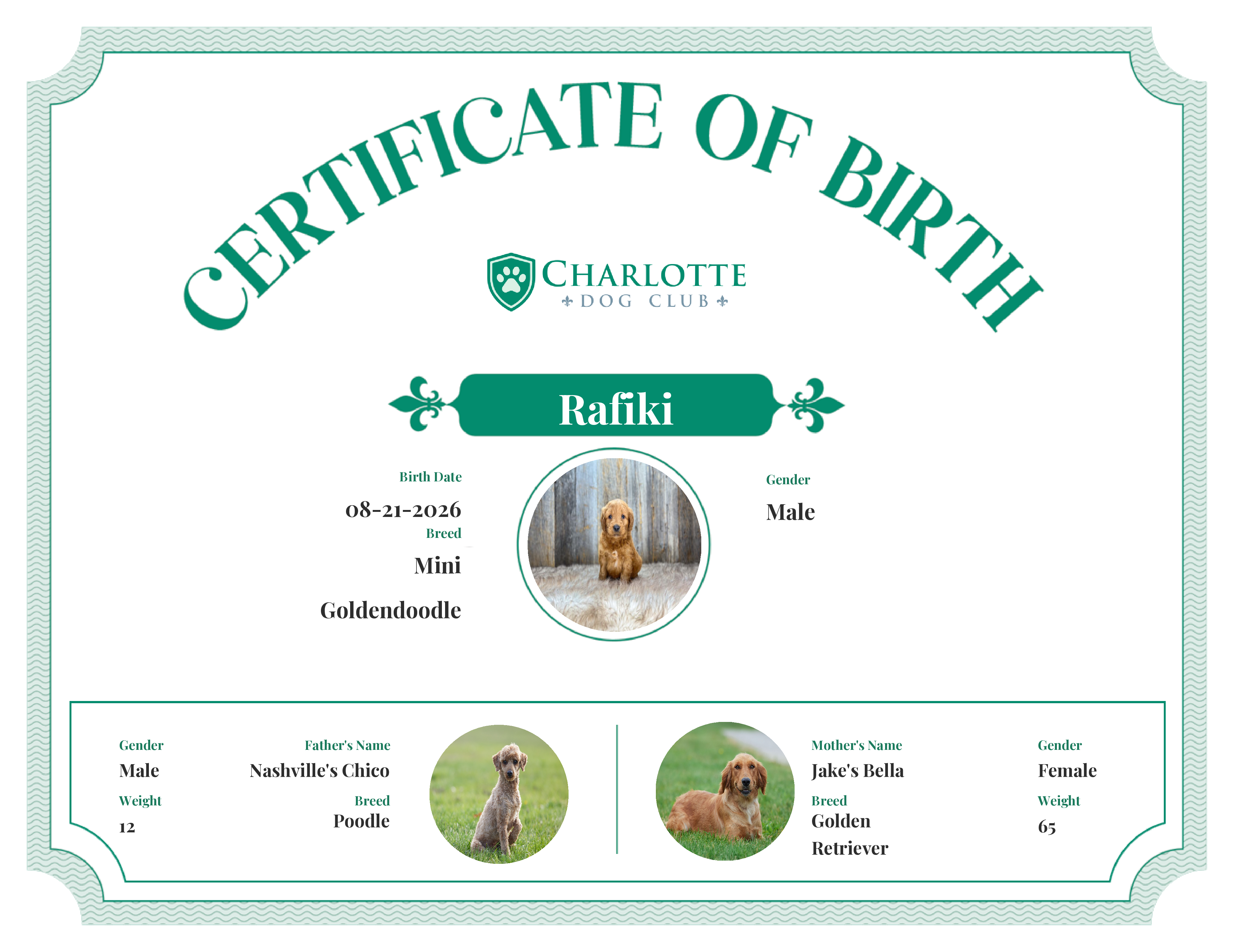 Rafiki's Birth Certificate