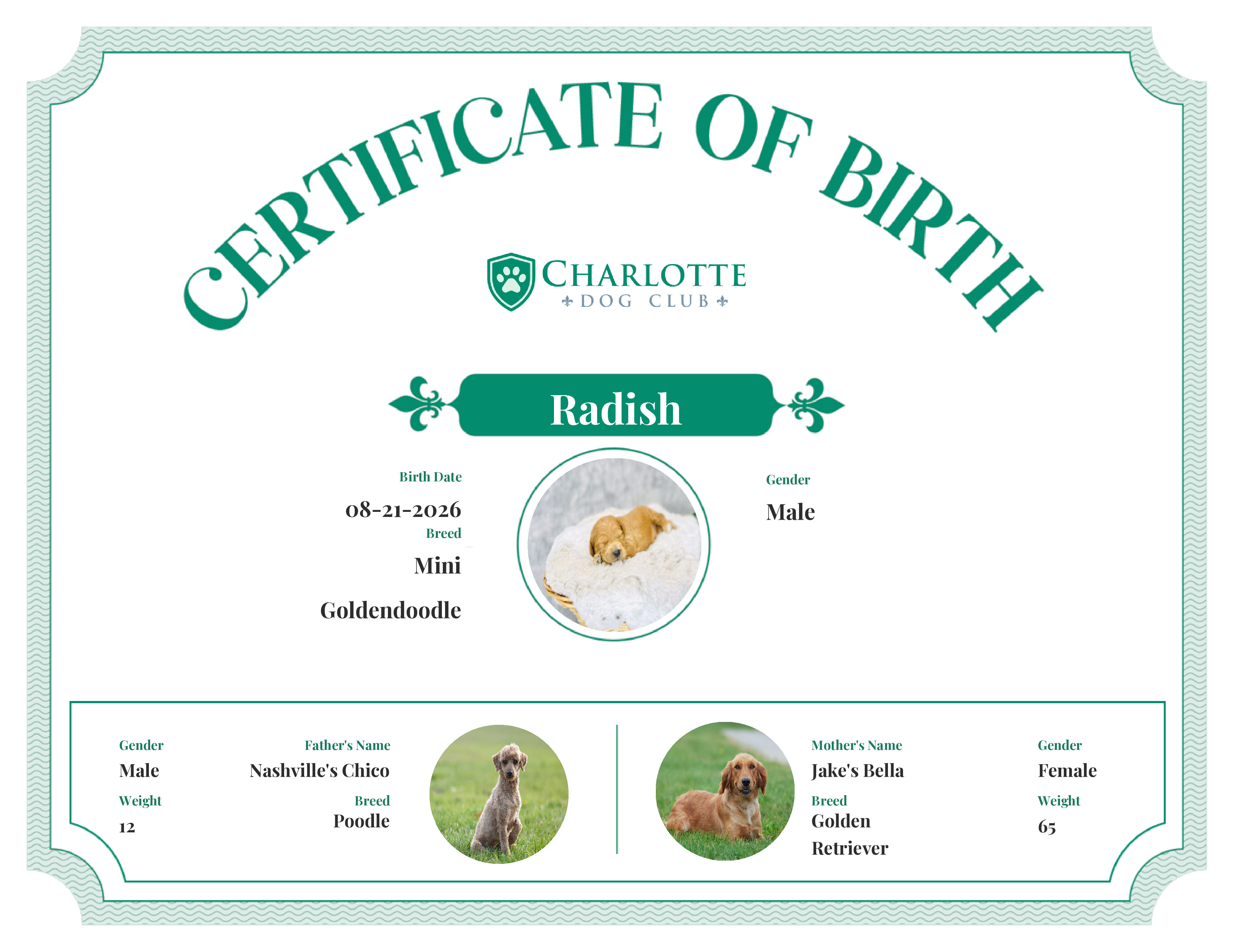 Radish's Birth Certificate