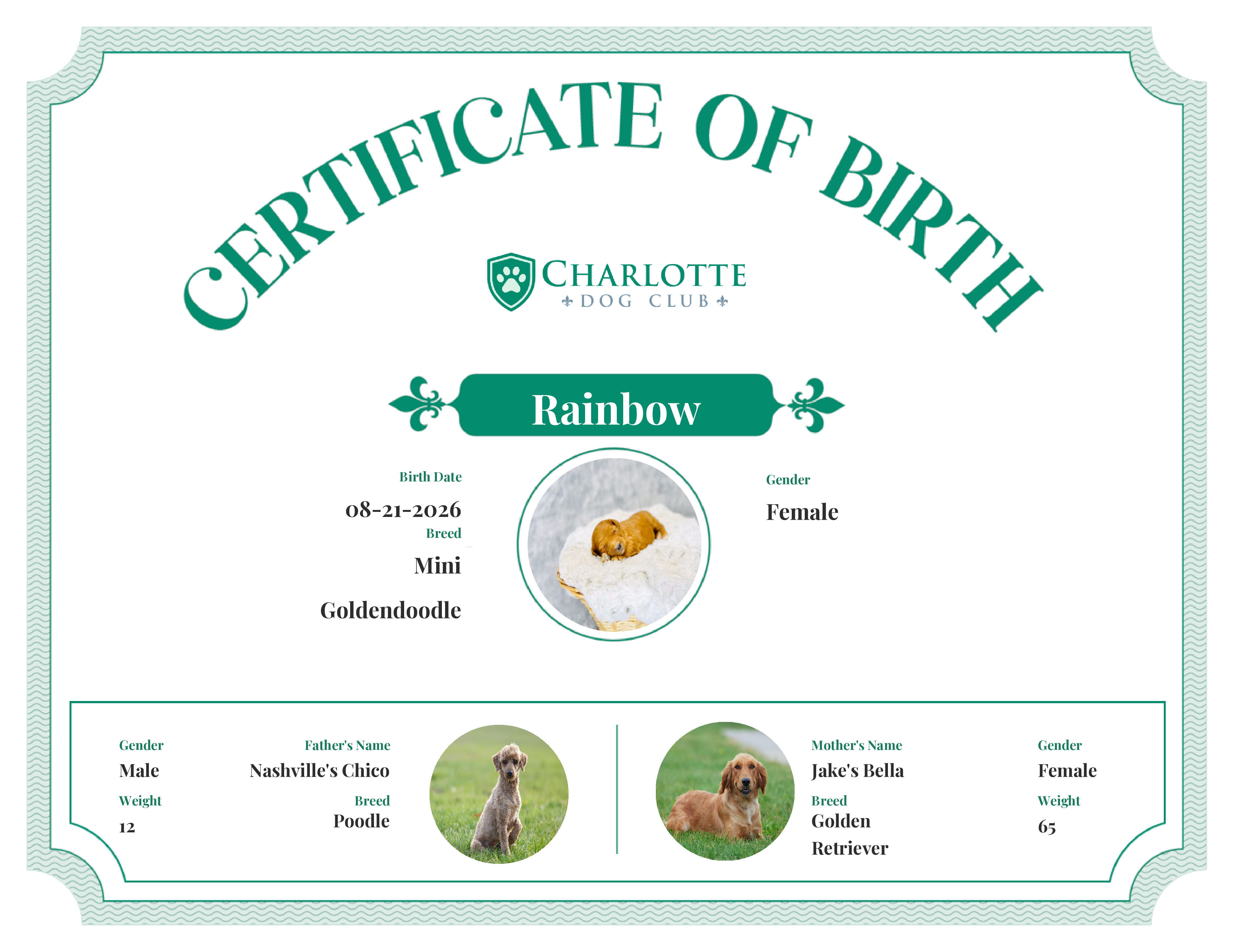 Rainbow's Birth Certificate