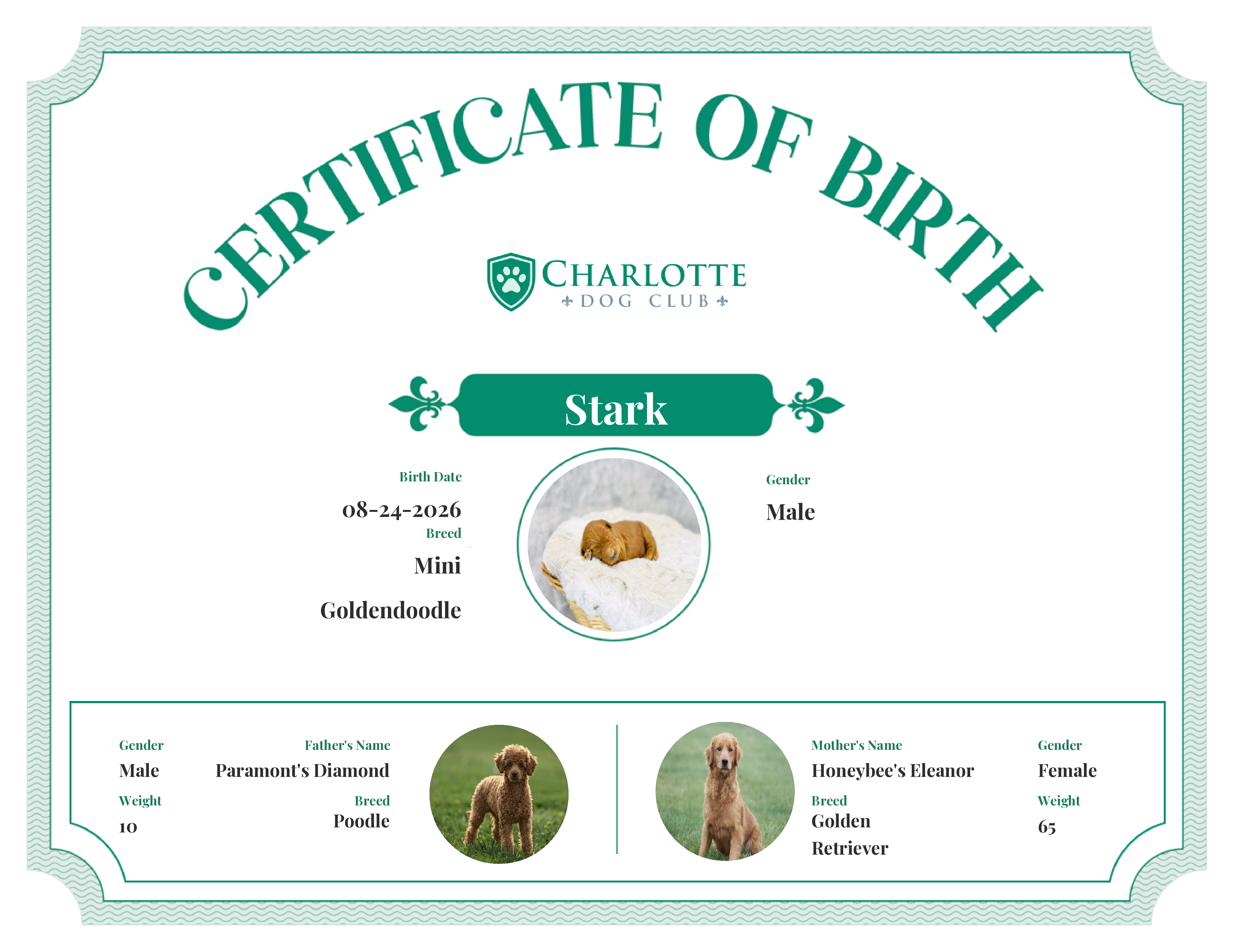 Stark's Birth Certificate