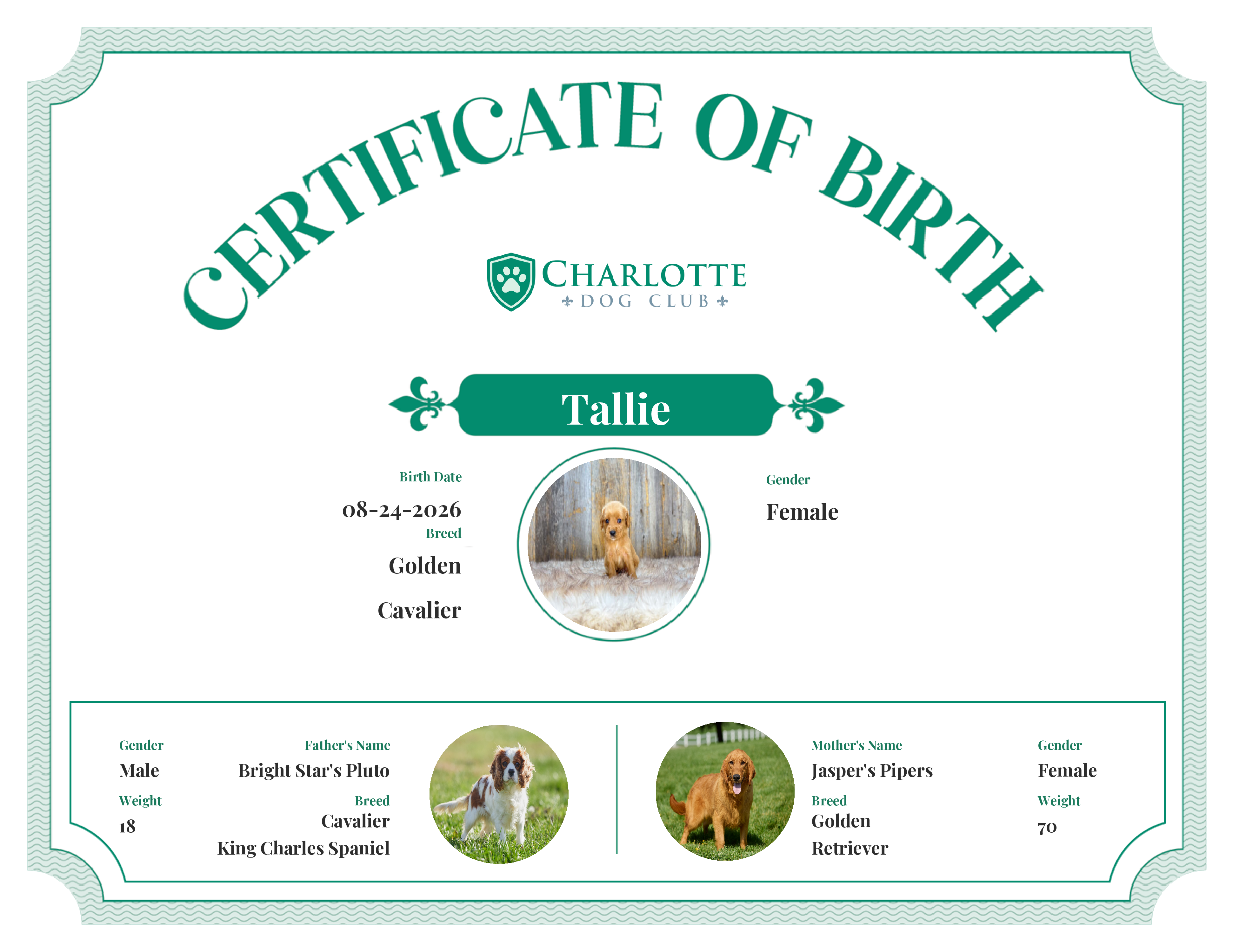 Tallie's Birth Certificate