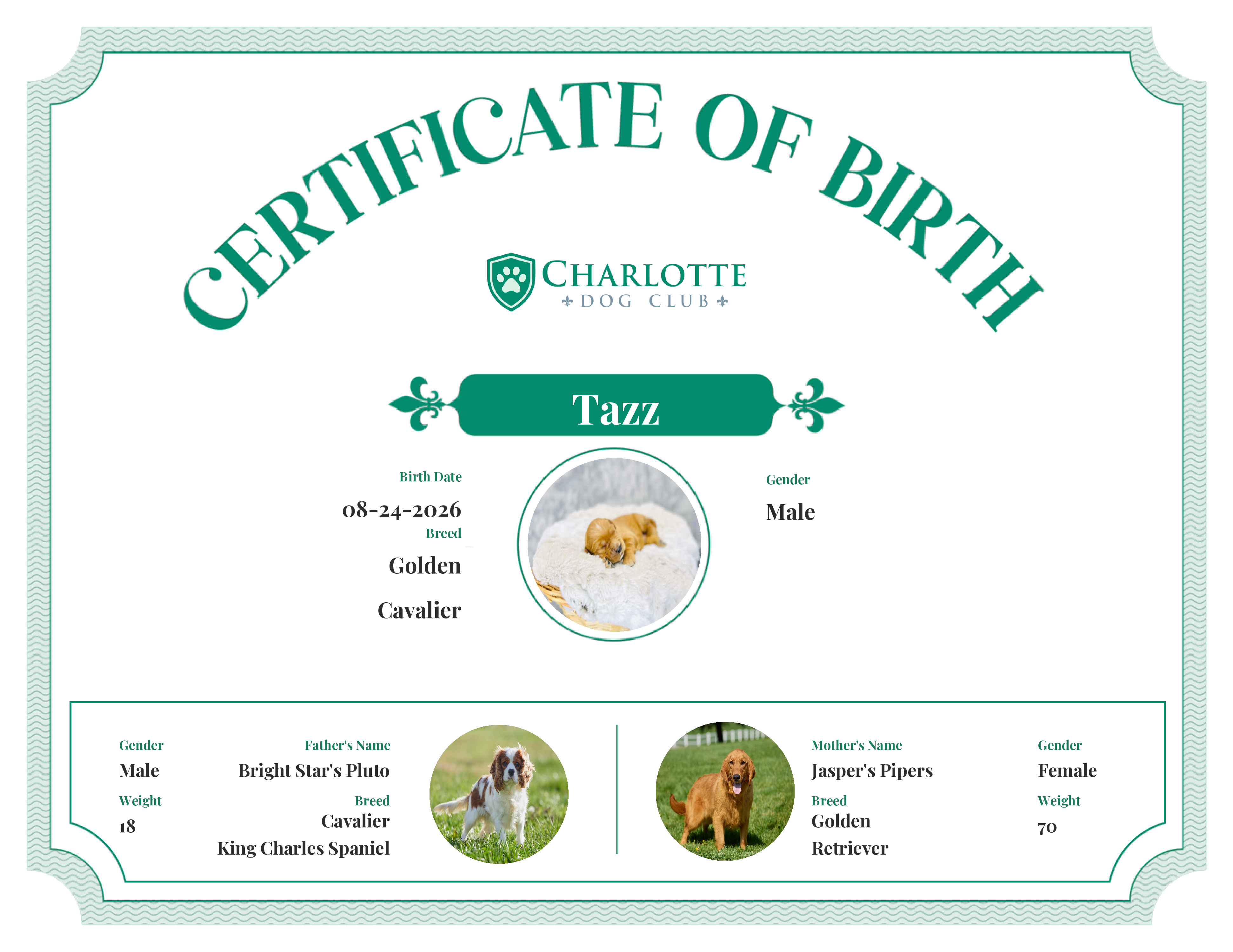 Tazz's Birth Certificate