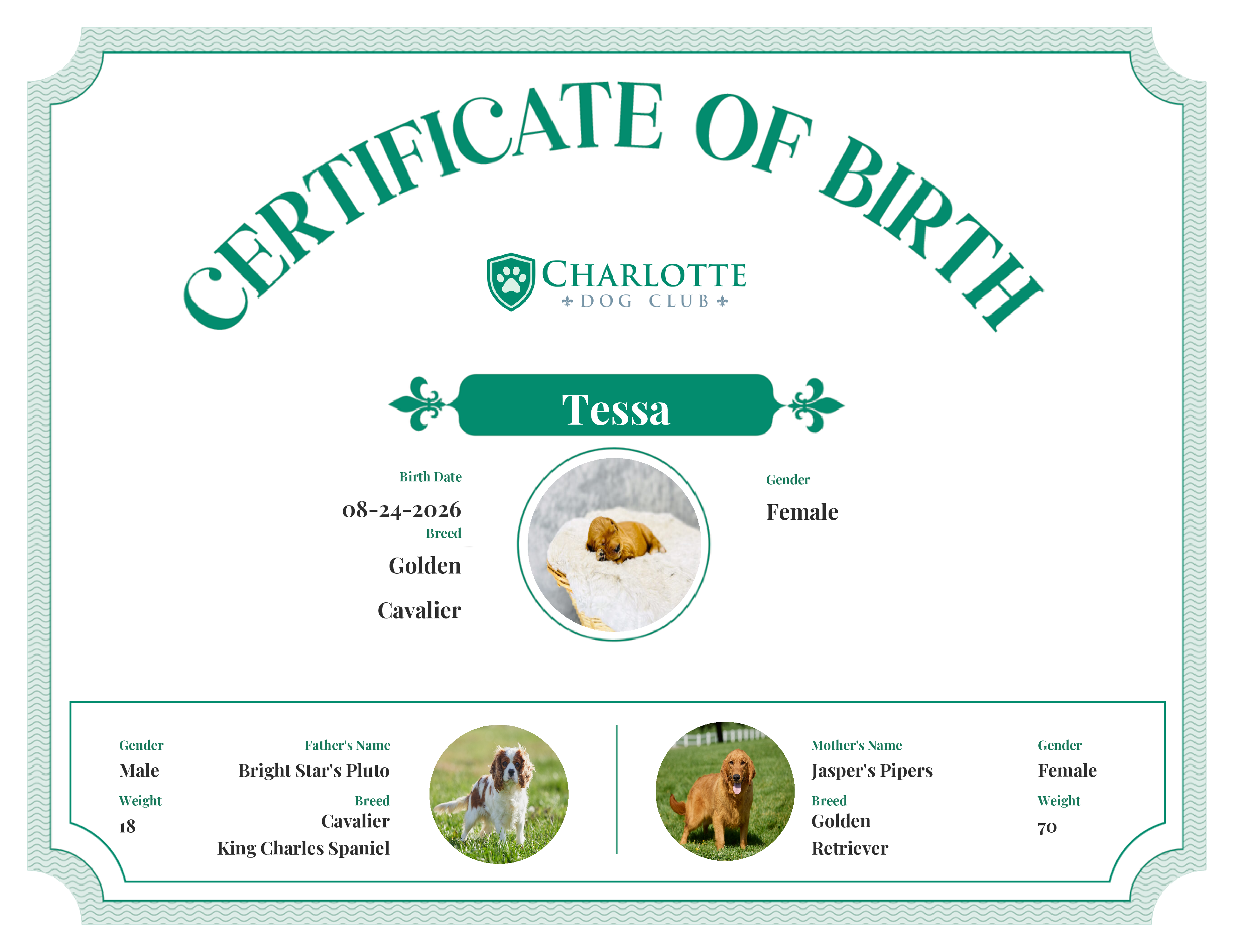 Tessa's Birth Certificate
