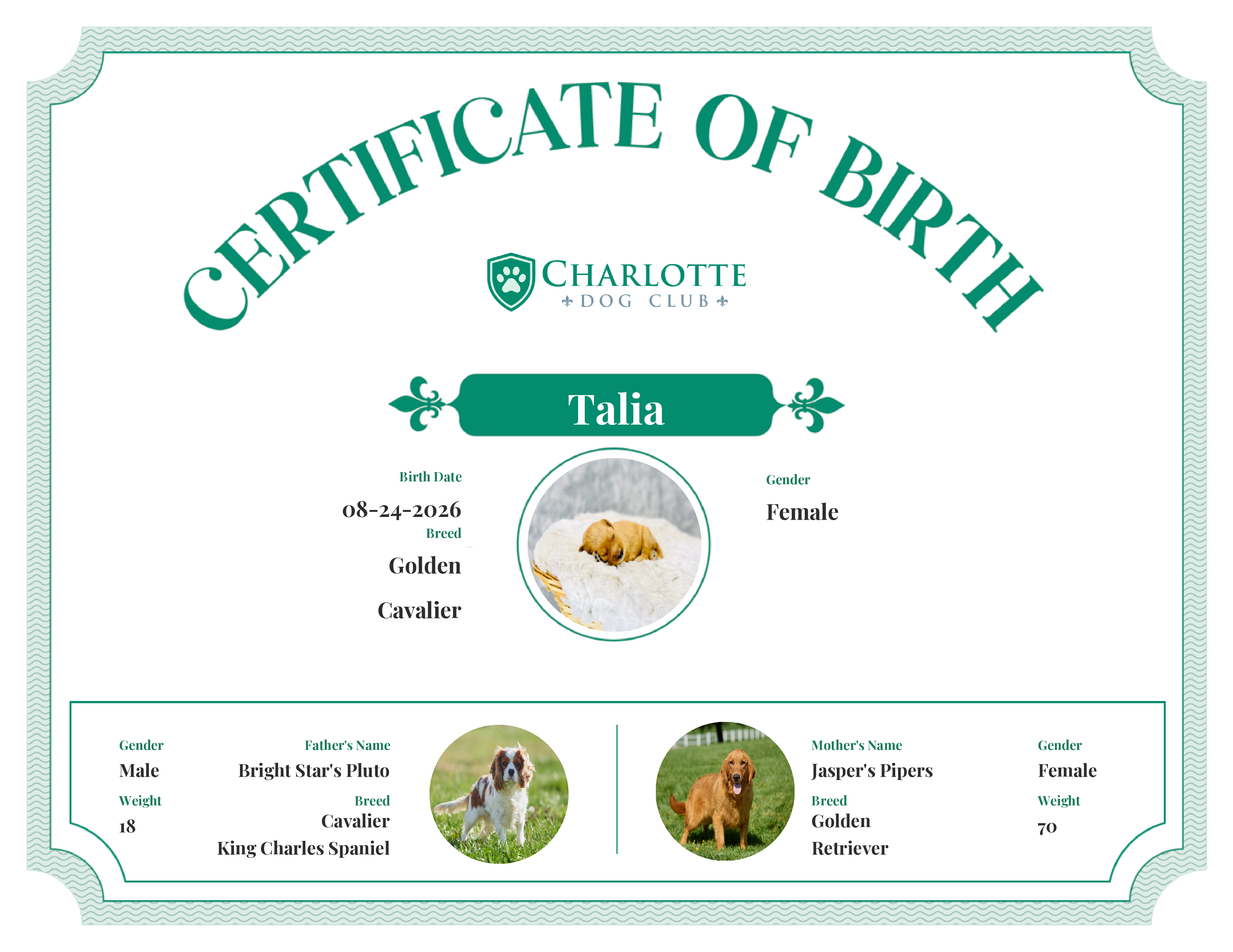 Talia's Birth Certificate