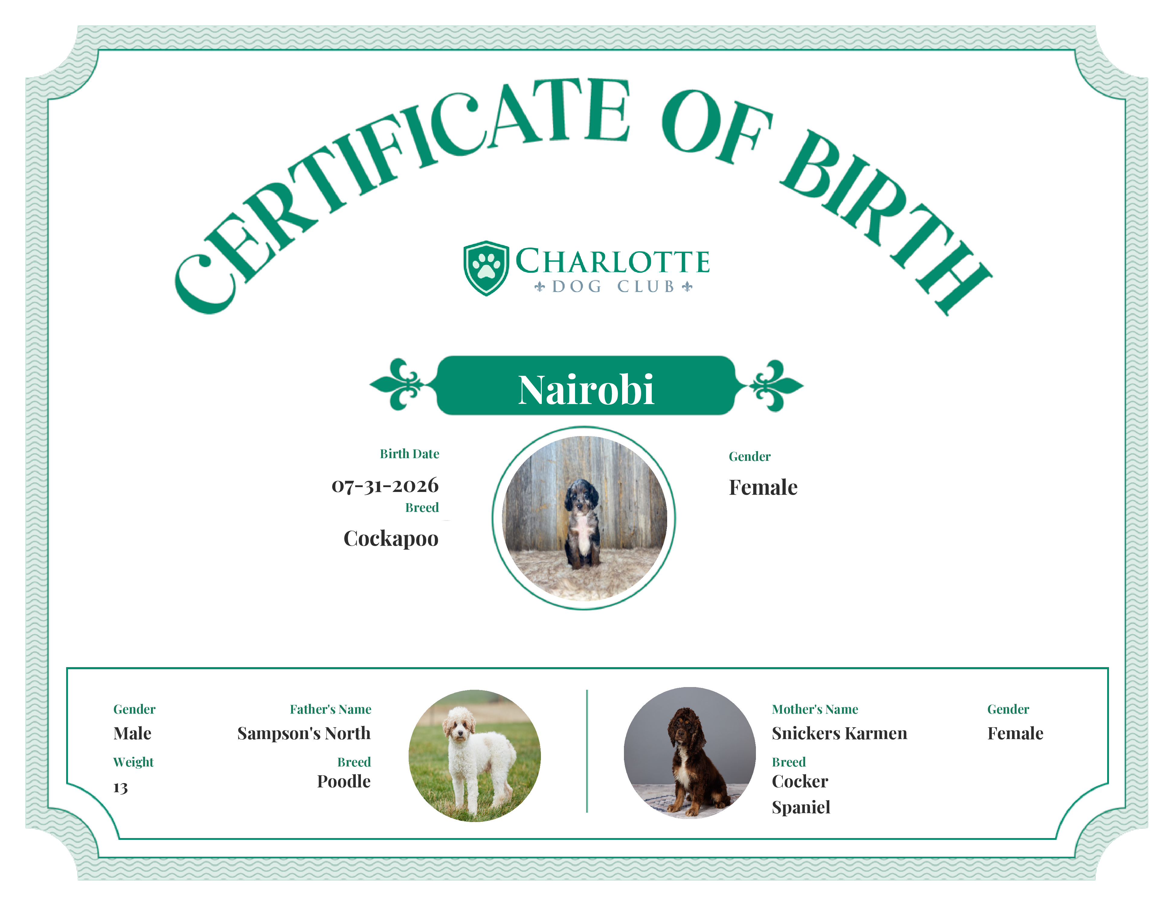 Nairobi's Birth Certificate