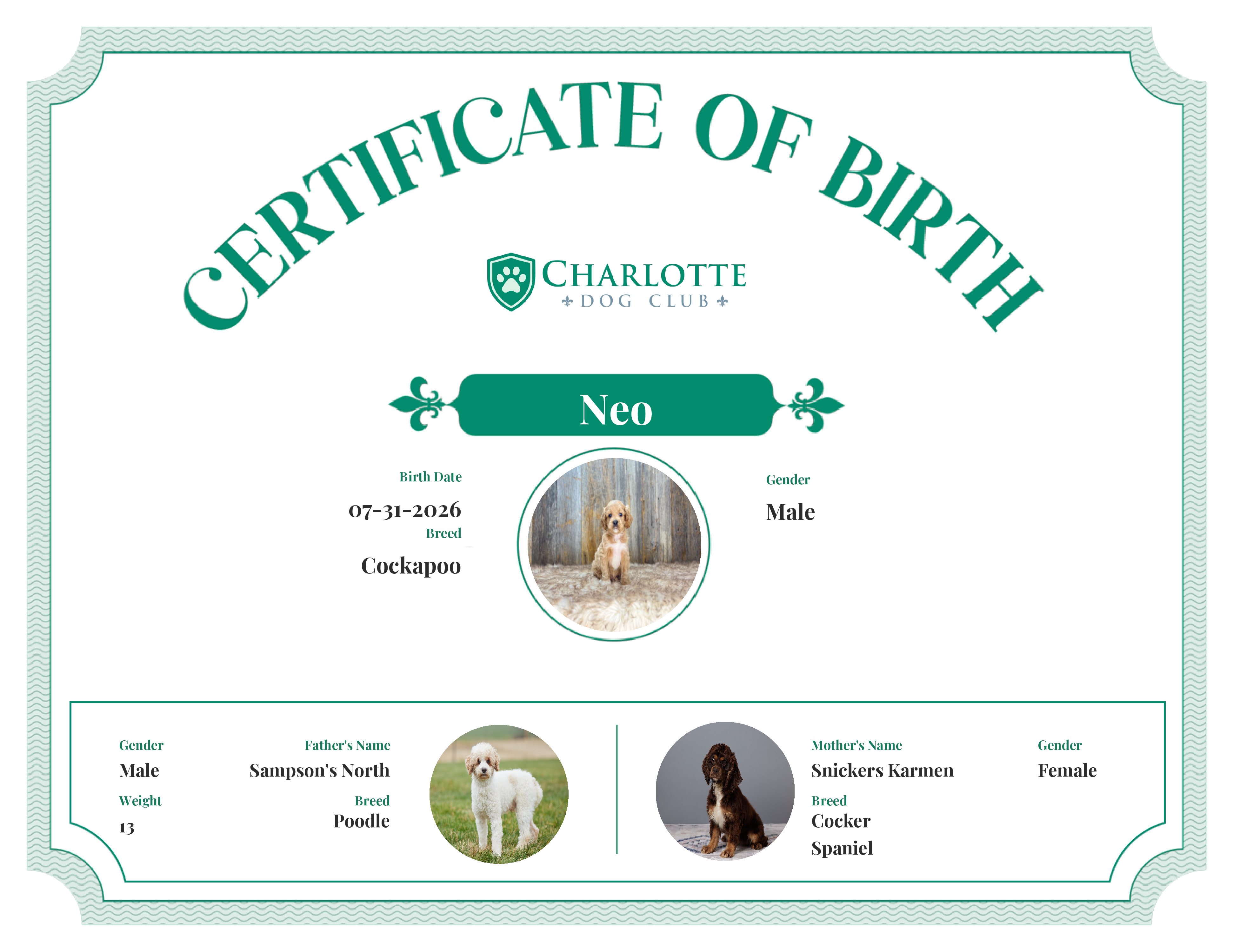 Neo's Birth Certificate