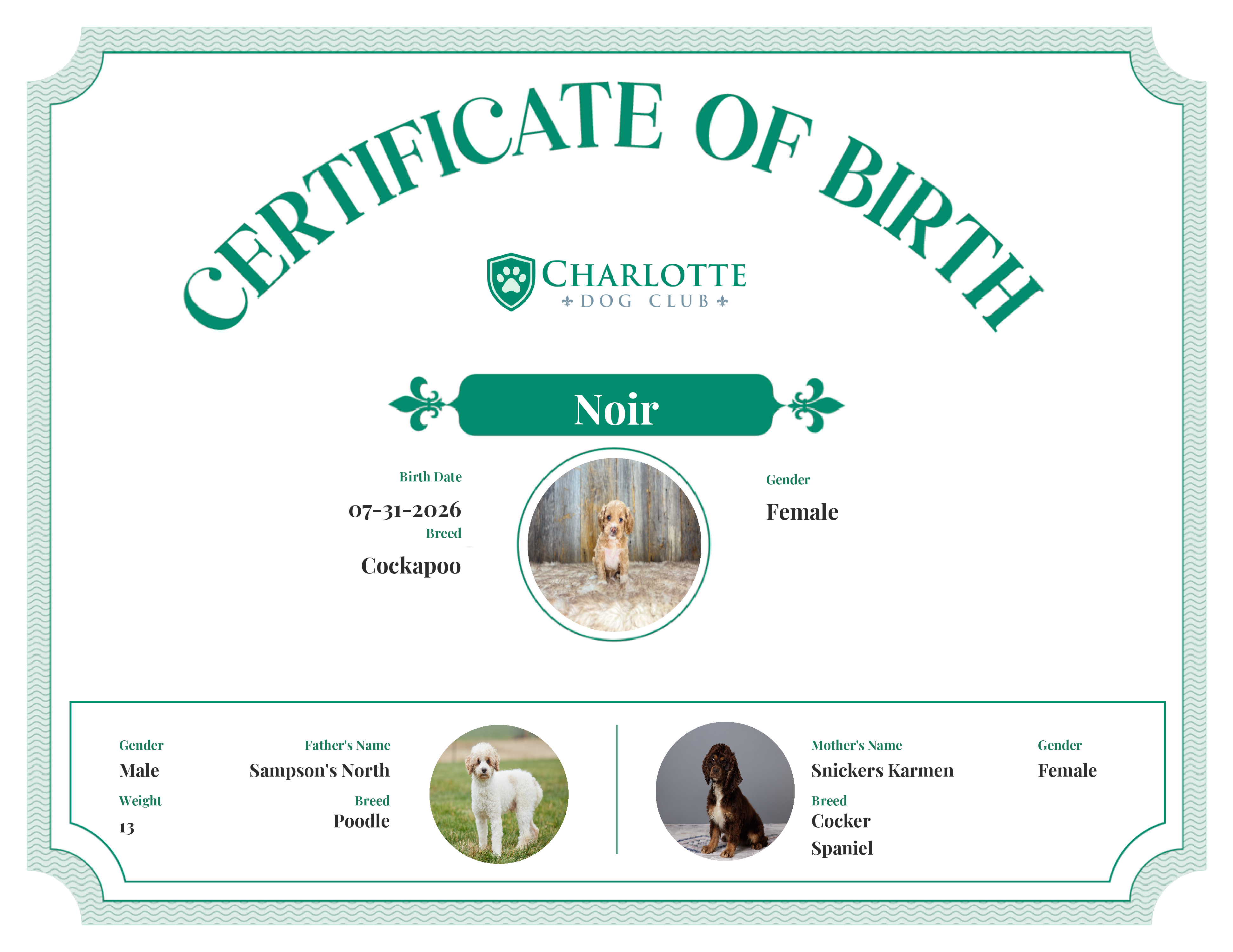 Noir's Birth Certificate