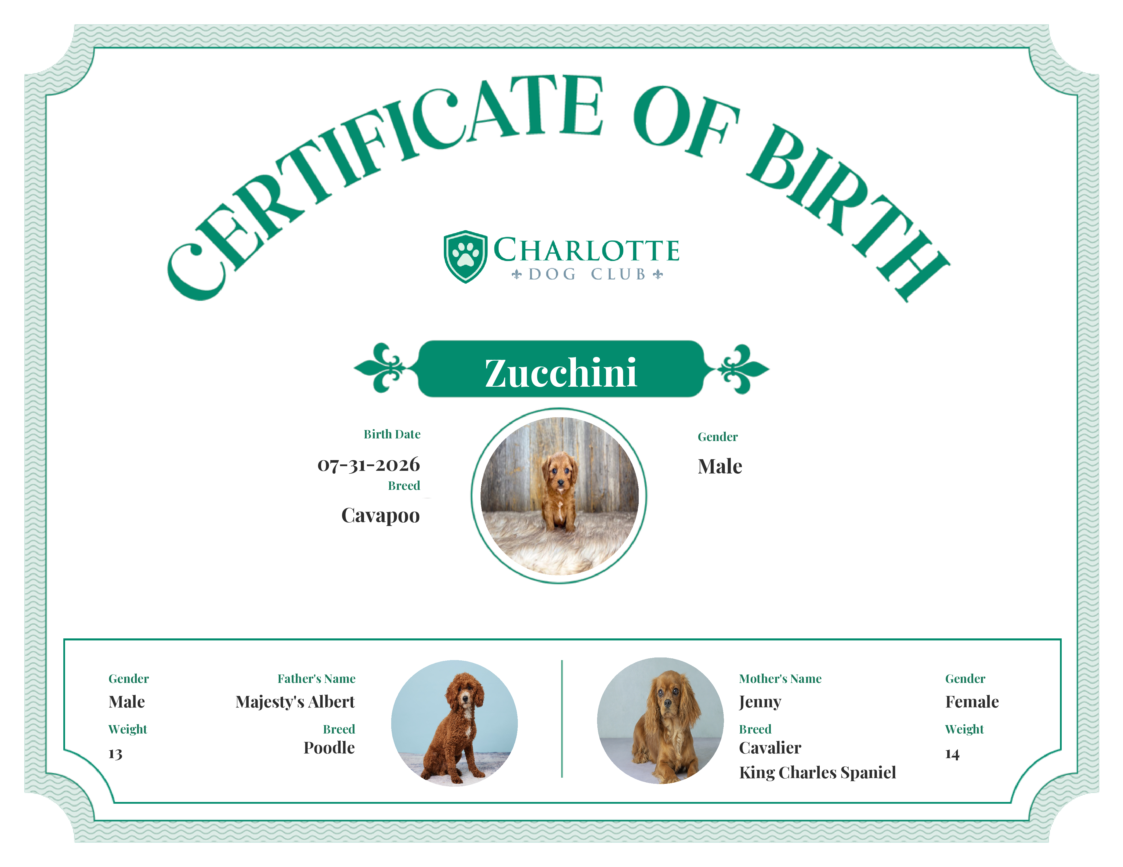 Zucchini's Birth Certificate