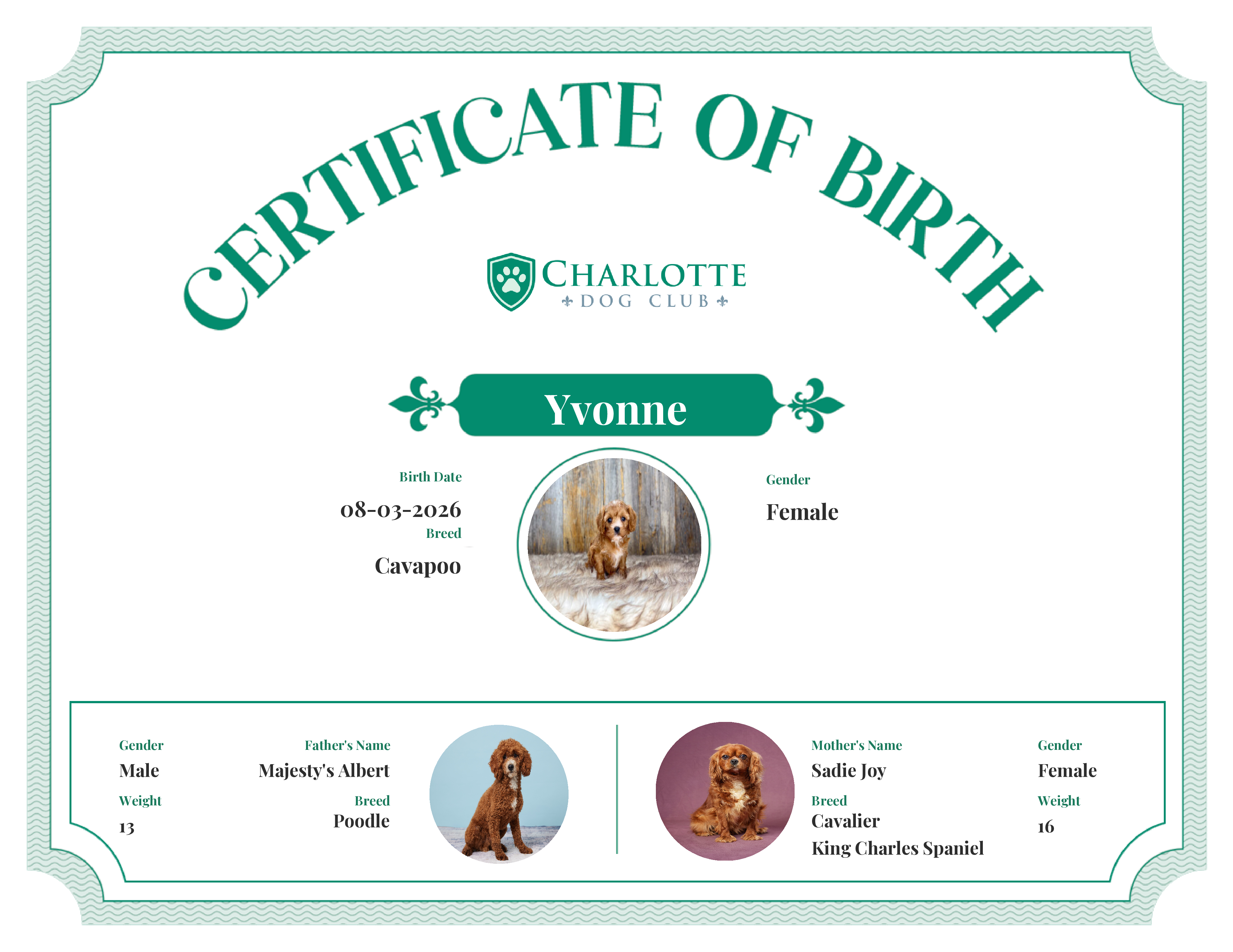 Yvonne's Birth Certificate