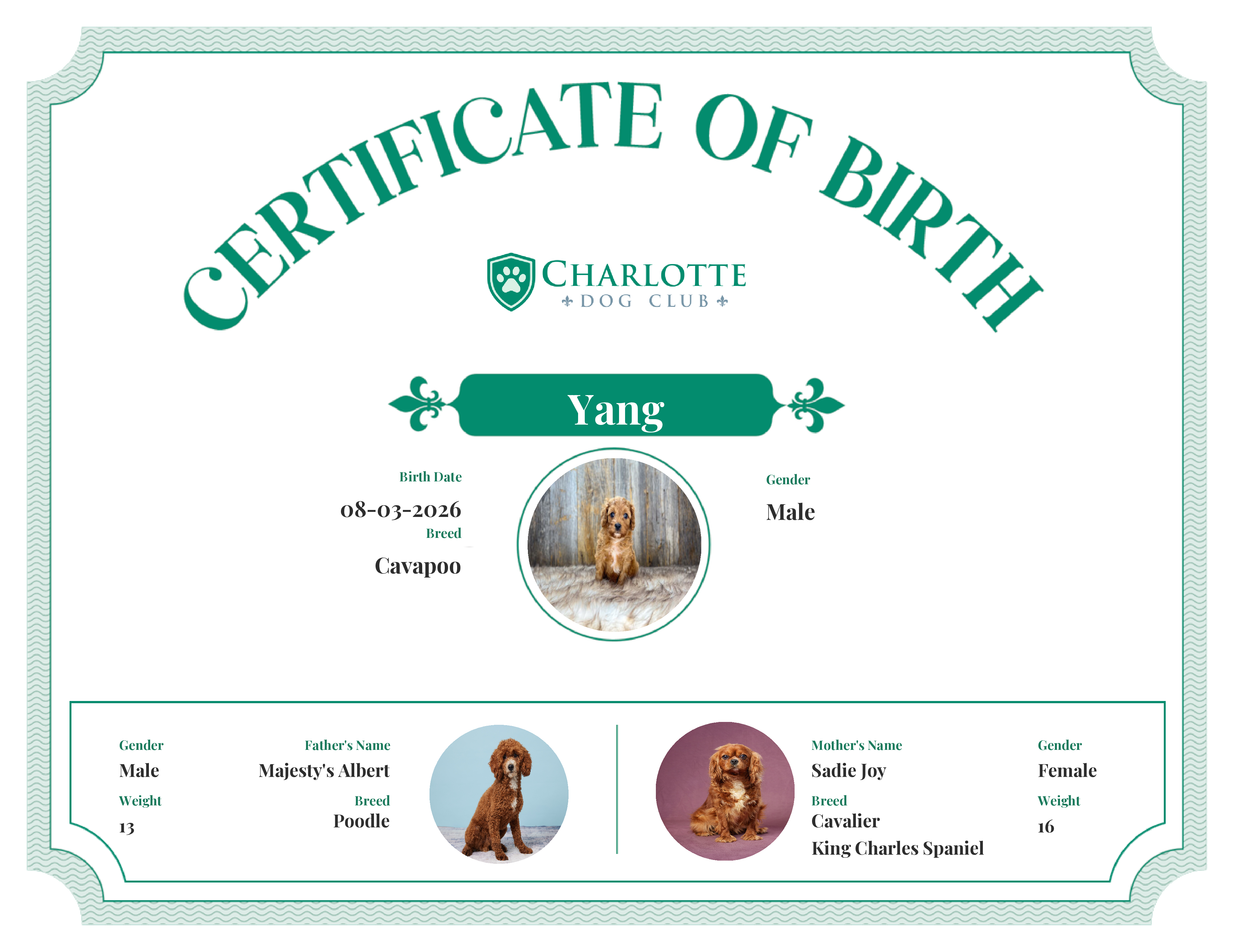 Yang's Birth Certificate