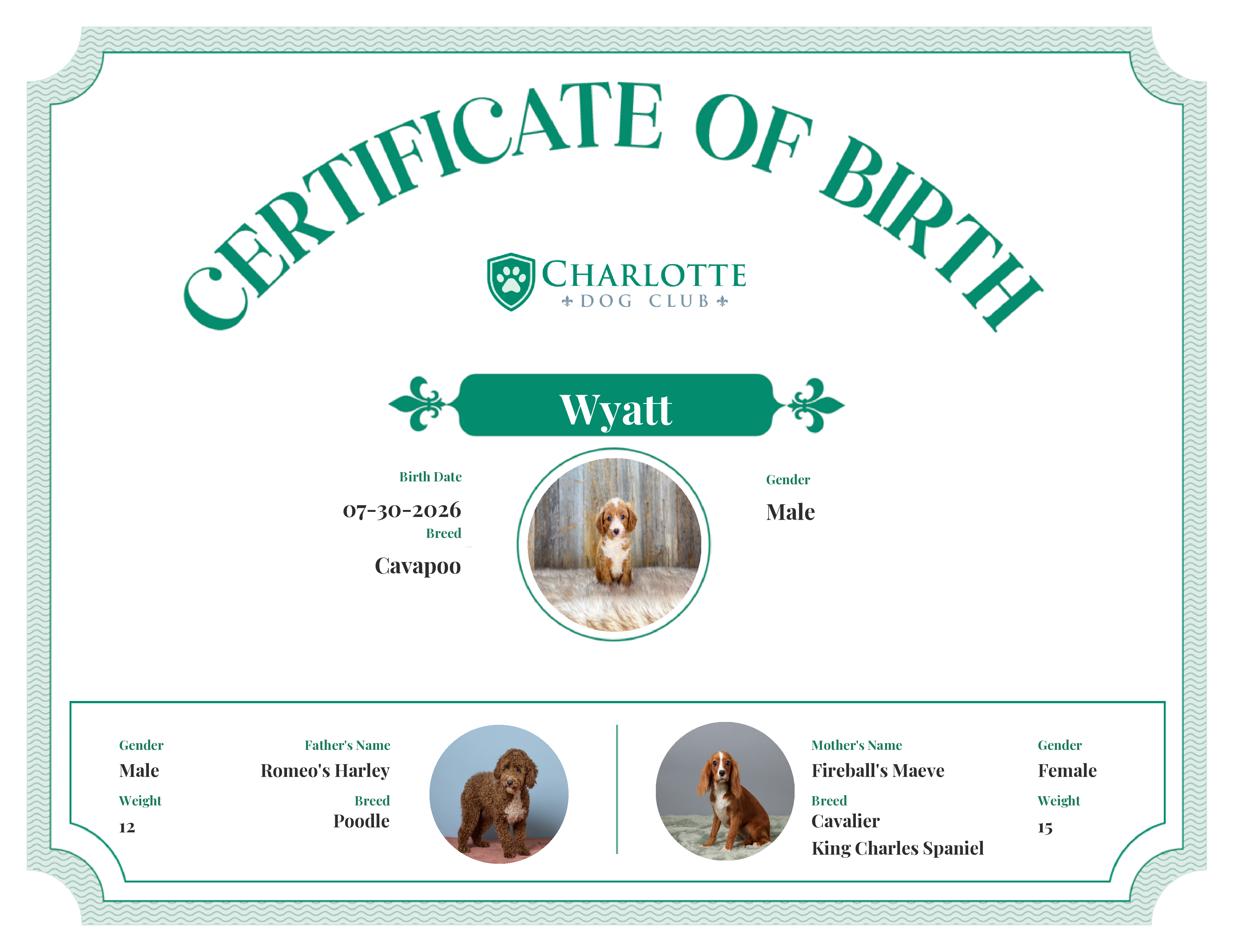 Wyatt's Birth Certificate