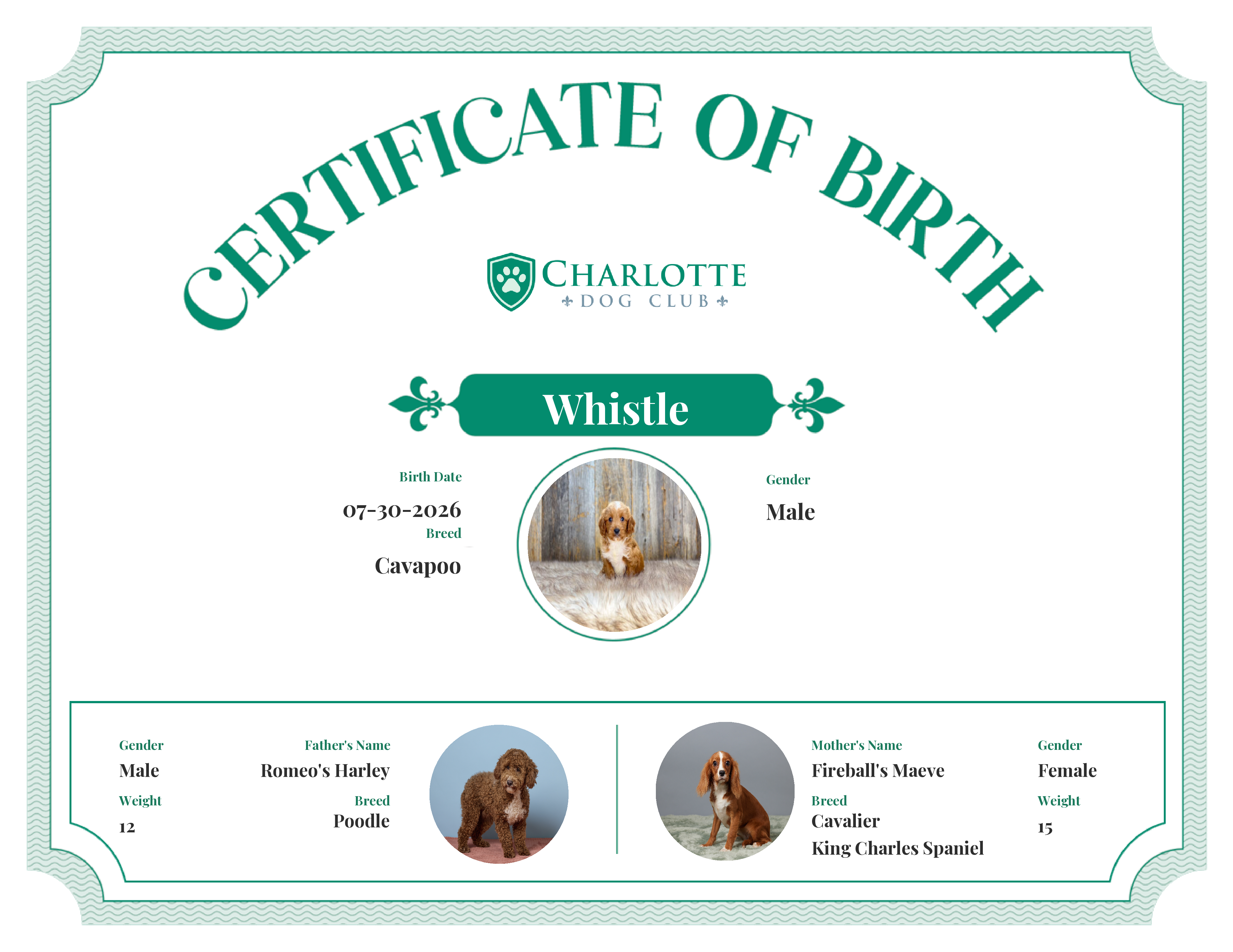 Whistle's Birth Certificate