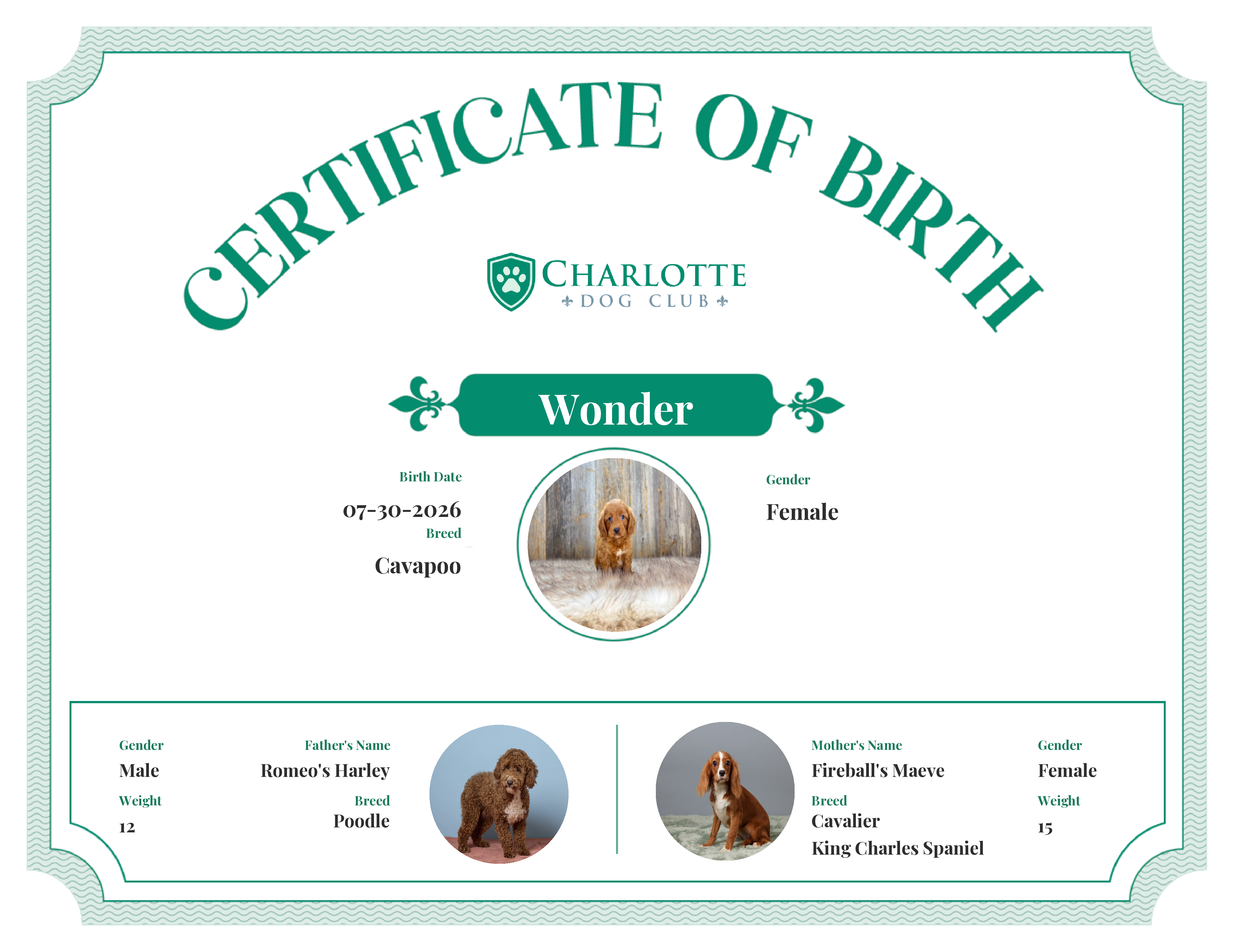 Wonder's Birth Certificate