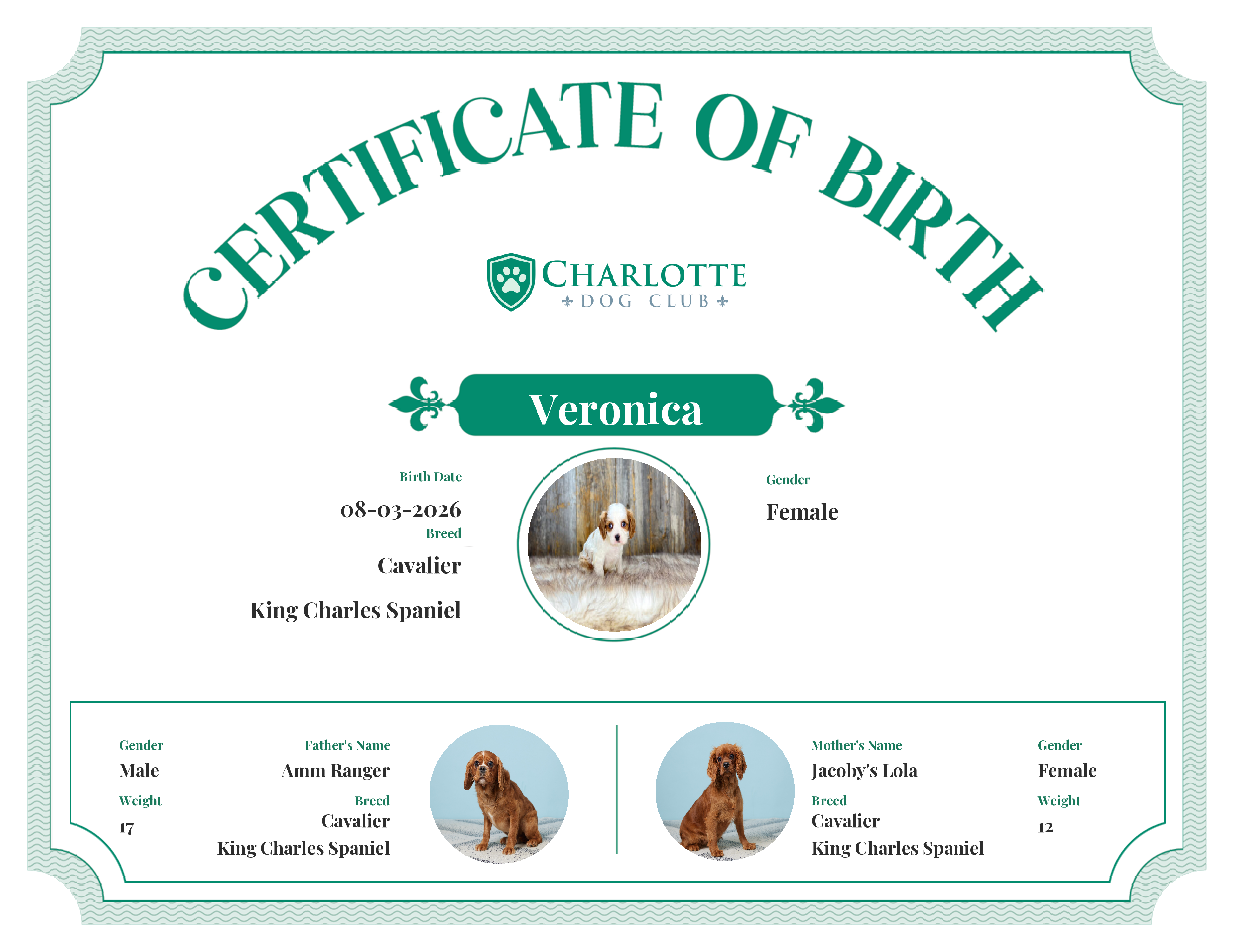 Veronica's Birth Certificate